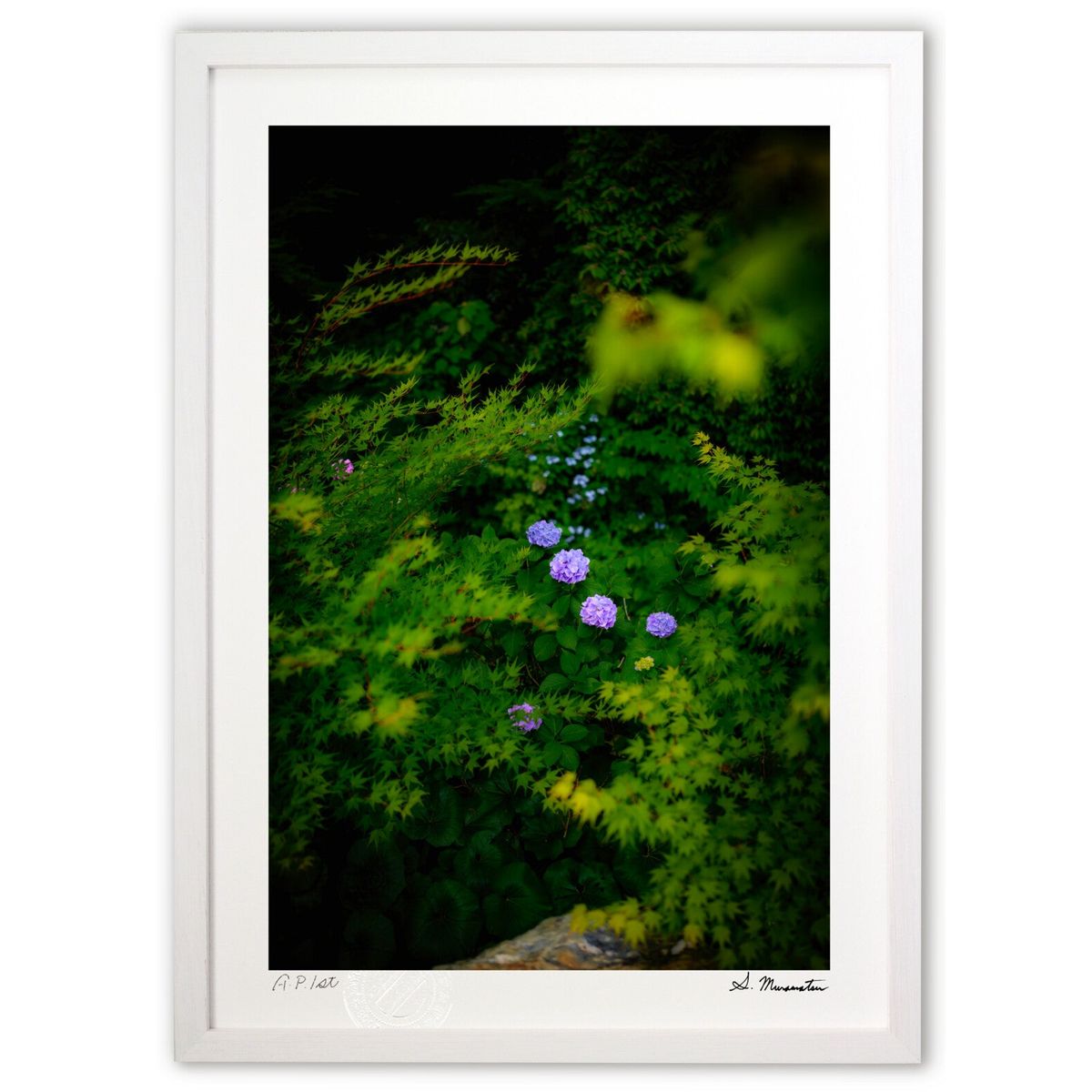 ڥѡSALEȾۡǲ ۲֤Ĺդζ (Shinobu Muramatsu)