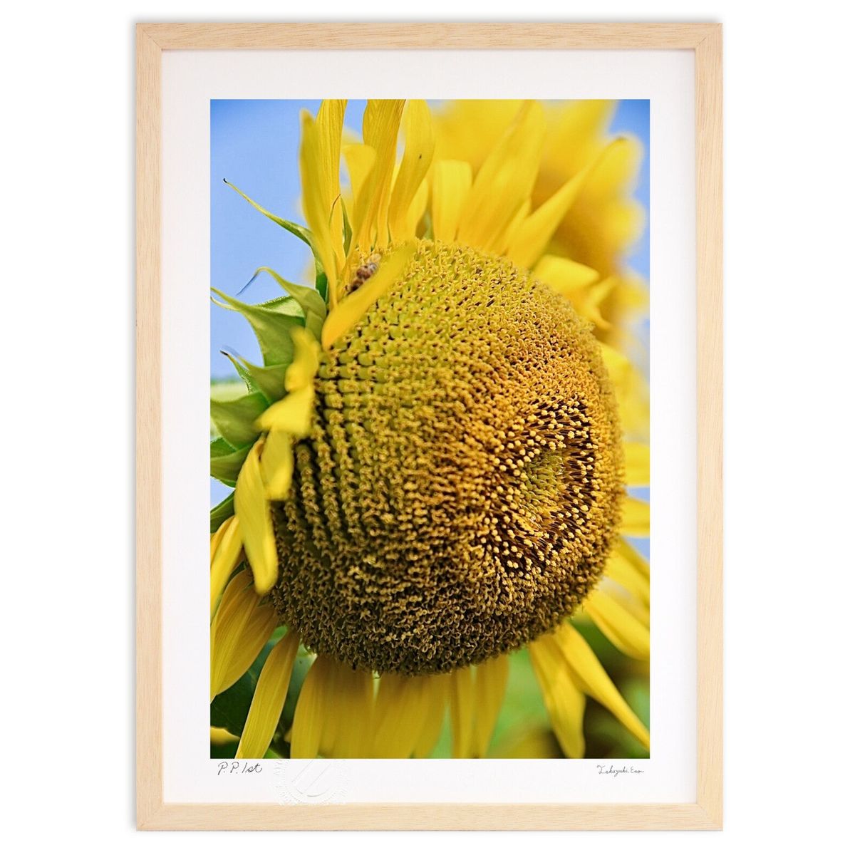 ڥѡSALEȾۡǲ ɥå (mitan)ƥꥢ ɳݤ  ʲ ݥ  ӥ ؤ˾  ץ쥼  ...