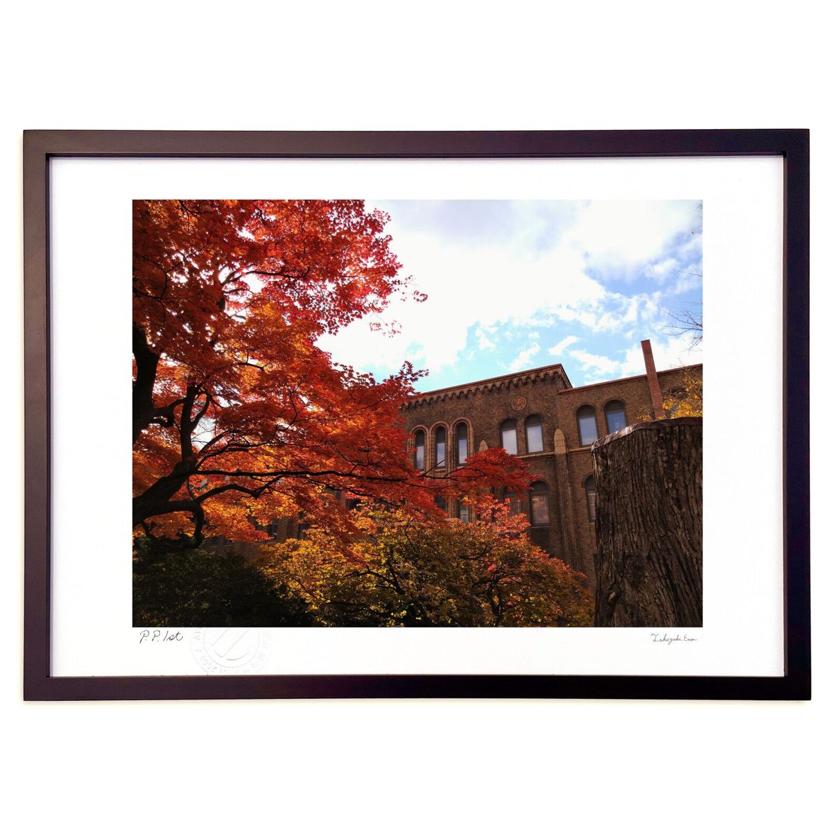 ڥѡSALEȾۡǲ 🍁 (ΡХ˥)ƥꥢ ɳݤ  ʲ ݥ  ӥ ؤ˾  ץ쥼...