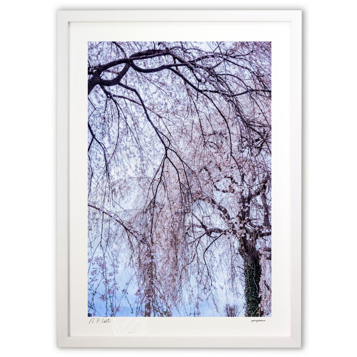 ڥѡSALEȾۡǲ øΤ (ۤٵ)ƥꥢ ɳݤ  ʲ ݥ  ӥ ؤ˾  ץ쥼 ...