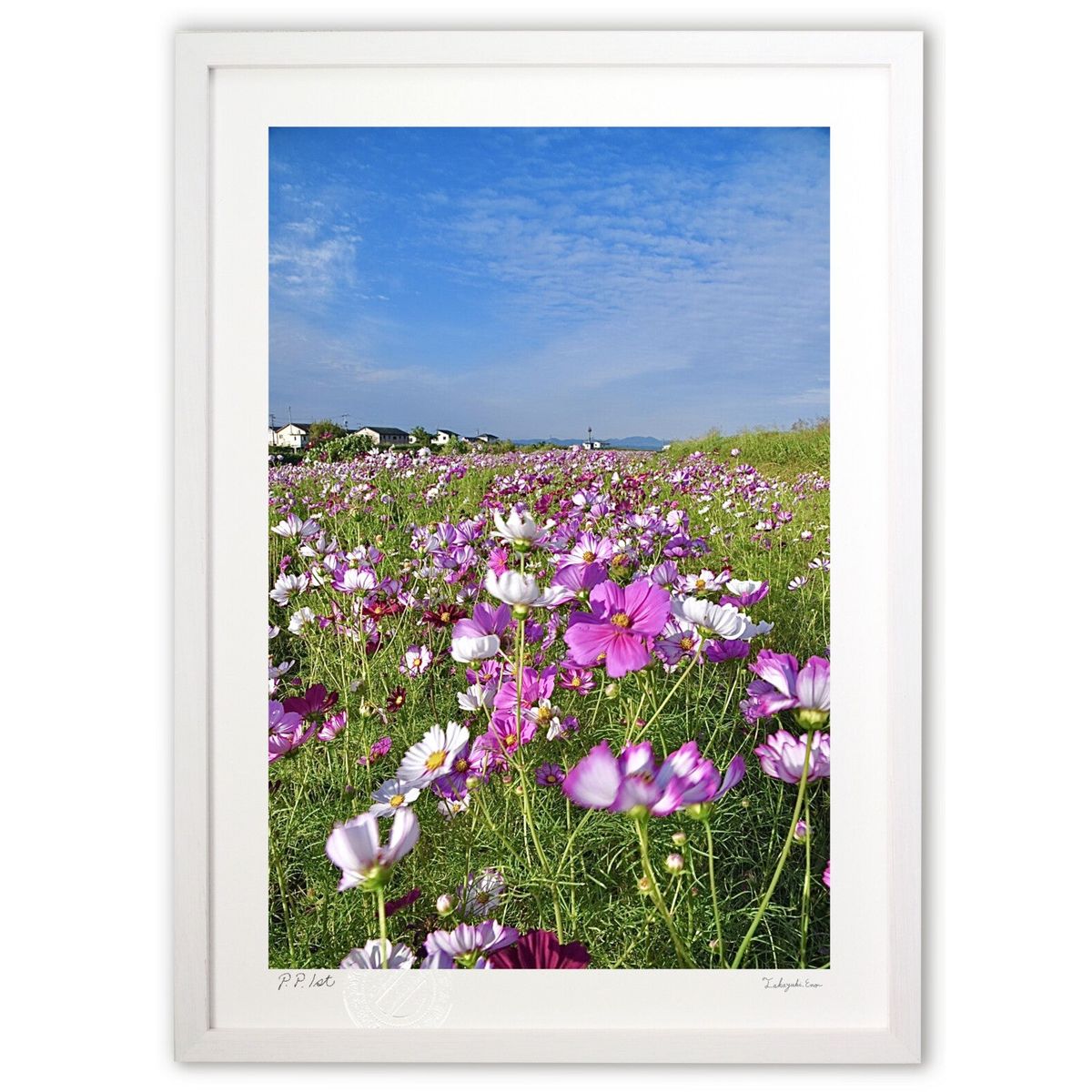 ڥѡSALEȾۡǲ ϴߤΥ⥹ (mitan)ƥꥢ ɳݤ  ʲ ݥ  ӥ ؤ˾  ץ쥼 ...