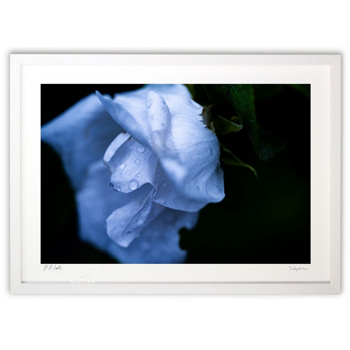 【スーパーSALE半額】版画 雨上がりとハマナスの花 (TAKAYA)インテリア 壁掛け 額入り 風景画 ポスター アート リビング 玄関に飾る 風水 プレゼン...