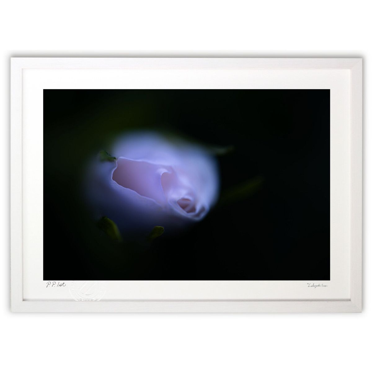 【スーパーSALE半額】版画 ハマナスの蕾 (TAKAYA)インテリア 壁掛け 額入り 風景画 ポスター アート リビング 玄関に飾る 風水 プレゼント モダン...