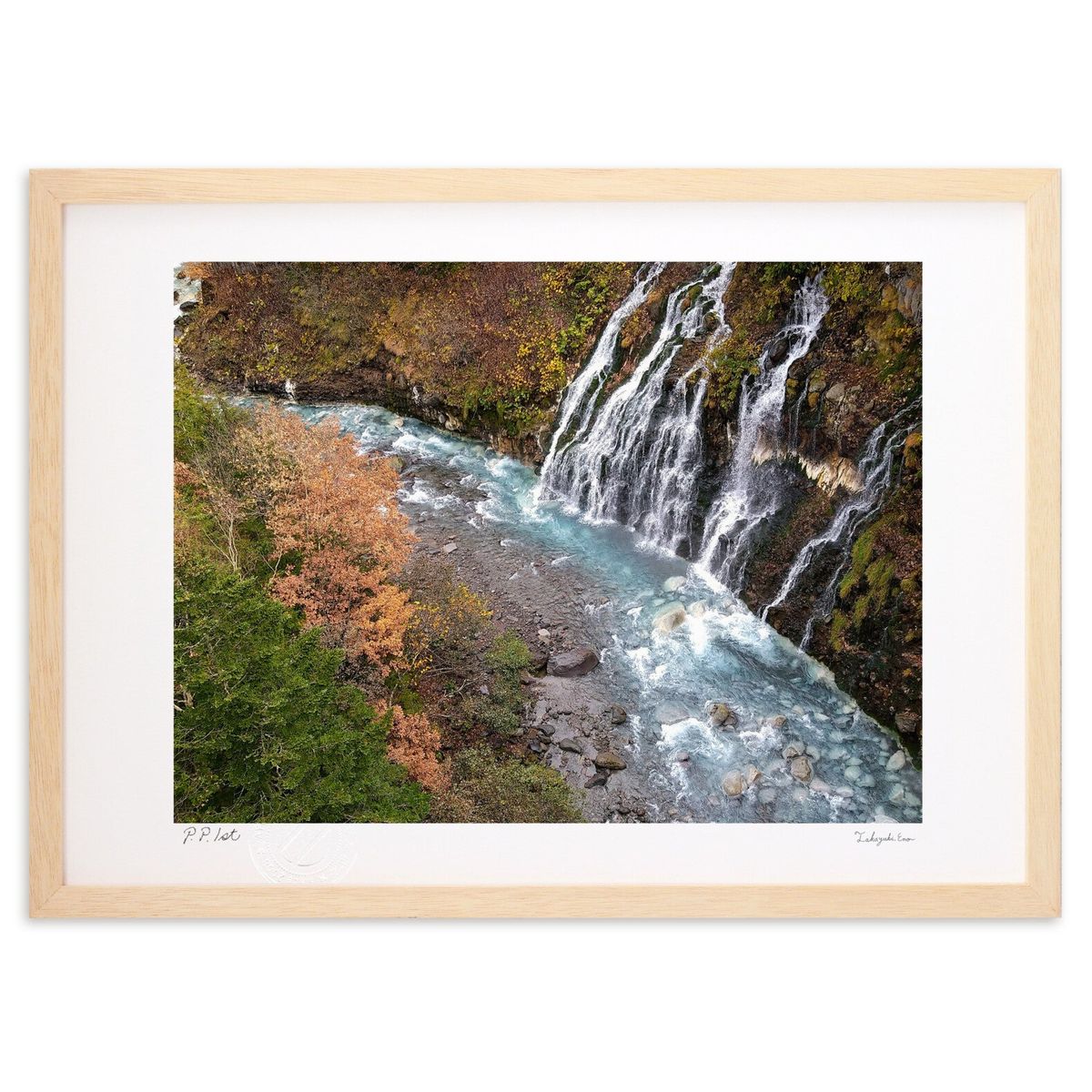 ڥѡSALEȾۡǲ ɦ (ΡХ˥)ƥꥢ ɳݤ  ʲ ݥ  ӥ ؤ˾  ץ쥼  ...