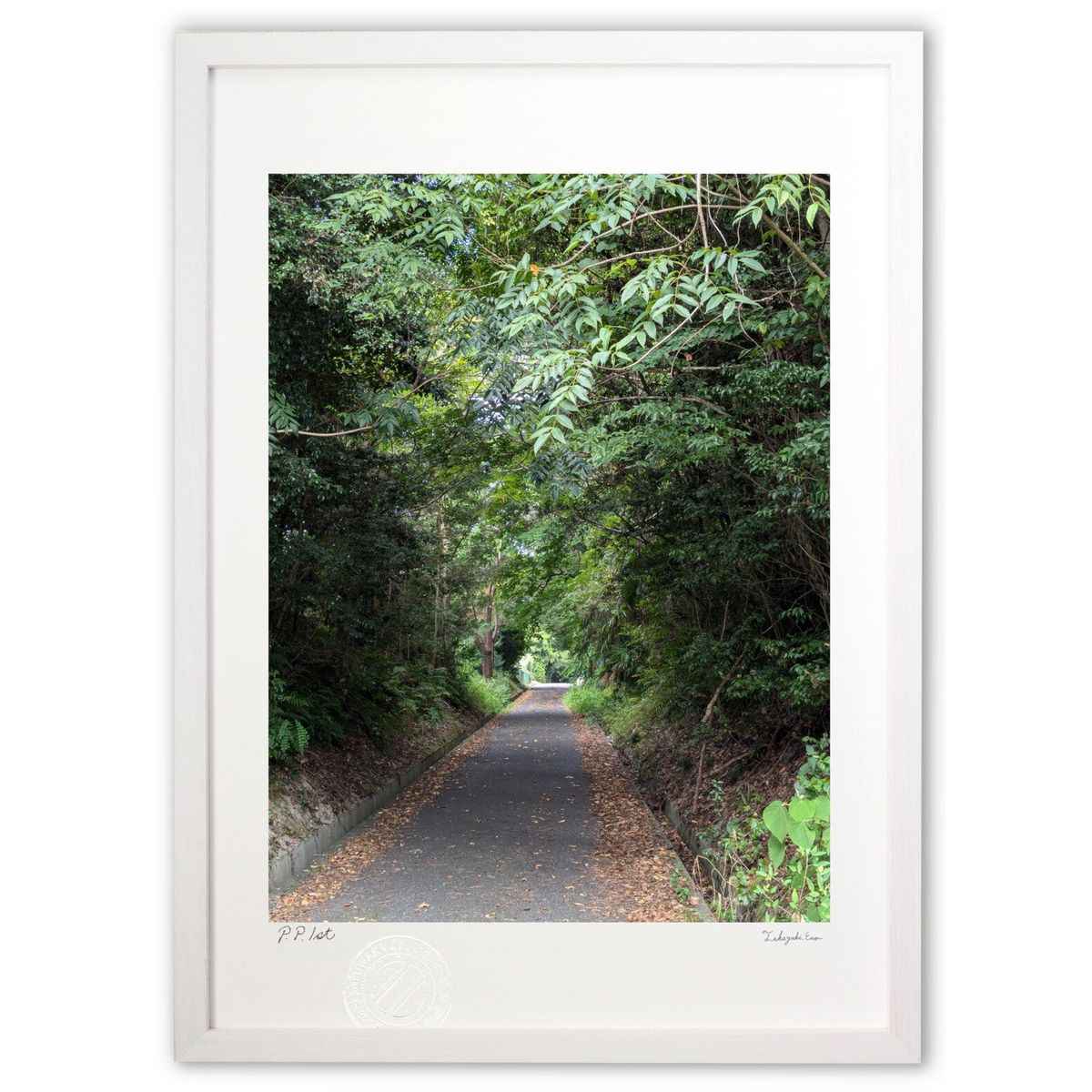 ڥѡSALEȾۡǲ ֥Τ褦 (Υڡ¸ߤޤ)