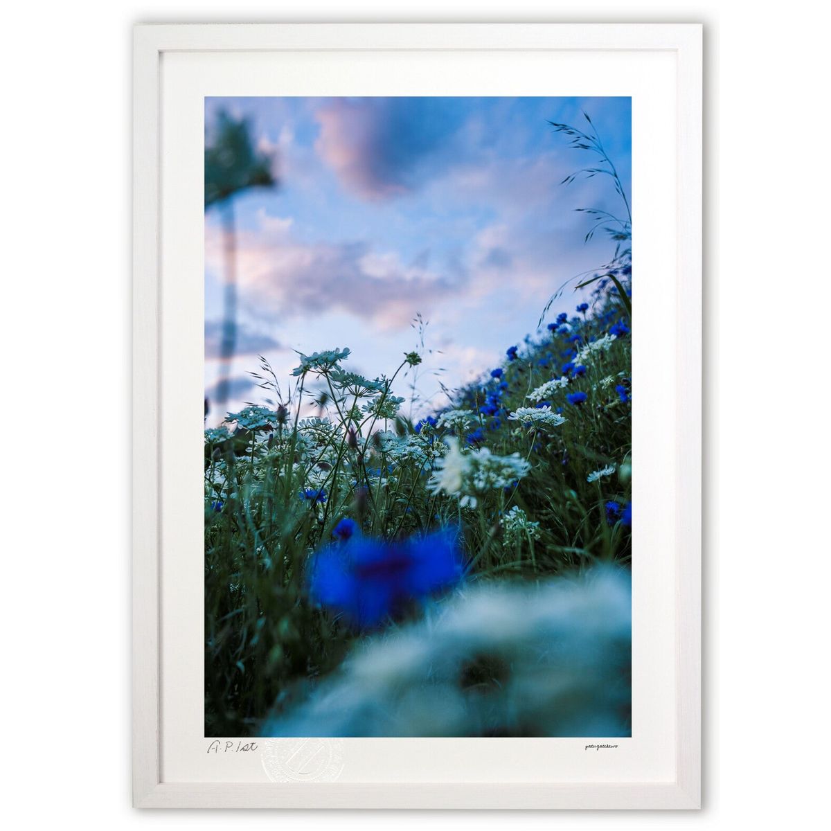 ڥѡSALEȾۡǲ Ƥαȿ᤯ (ۤٵ)ƥꥢ ɳݤ  ʲ ݥ  ӥ ؤ˾  ץ쥼 ...