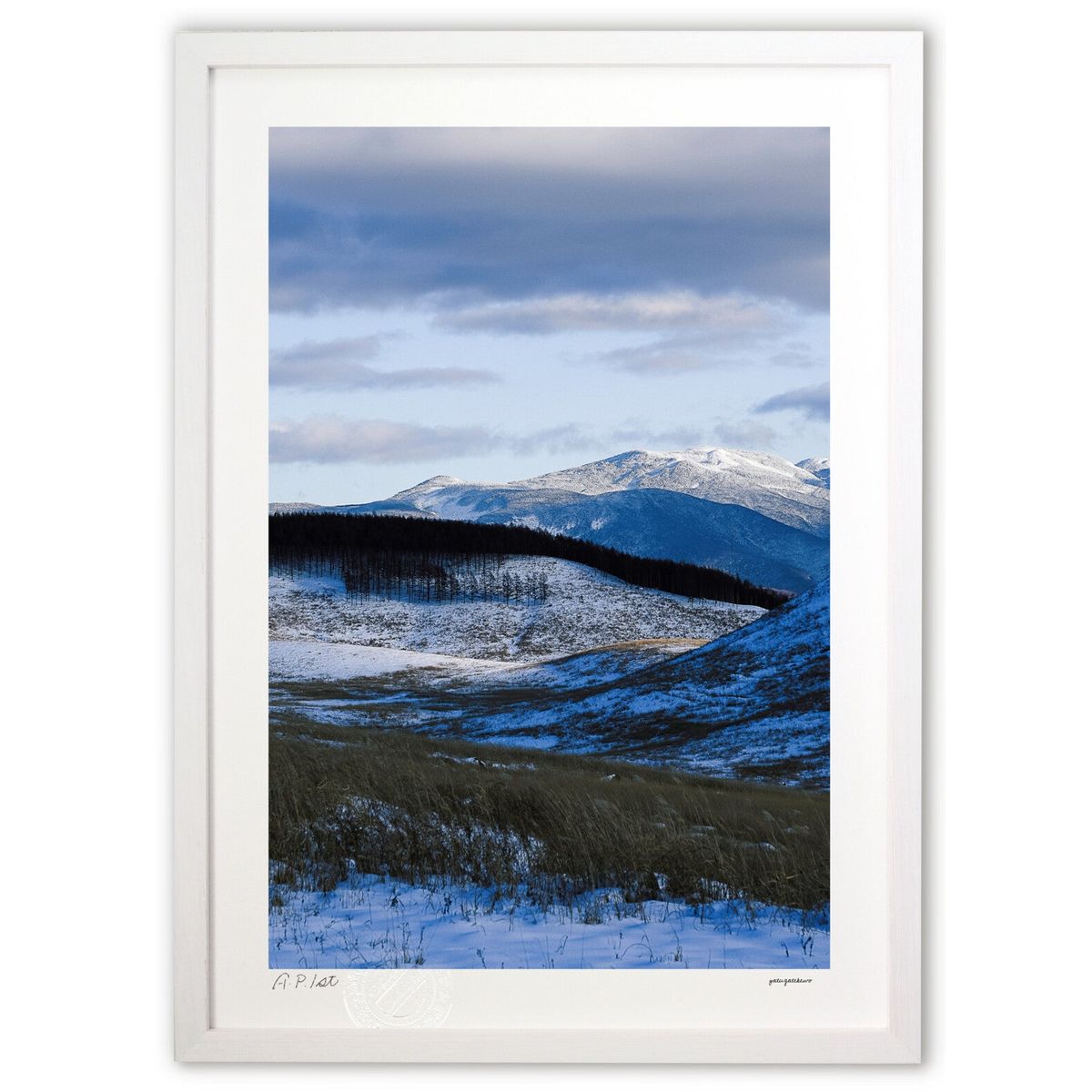 ڥѡSALEȾۡǲ ͺǹ̸ (ۤٵ)ƥꥢ ɳݤ  ʲ ݥ  ӥ ؤ˾  ץ쥼...