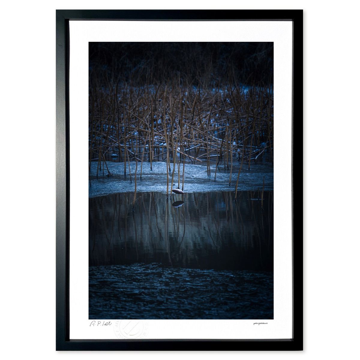 ڥѡSALEȾۡǲ θϤ줿ϡ (ۤٵ)ƥꥢ ɳݤ  ʲ ݥ  ӥ ؤ˾  ץ쥼 ...