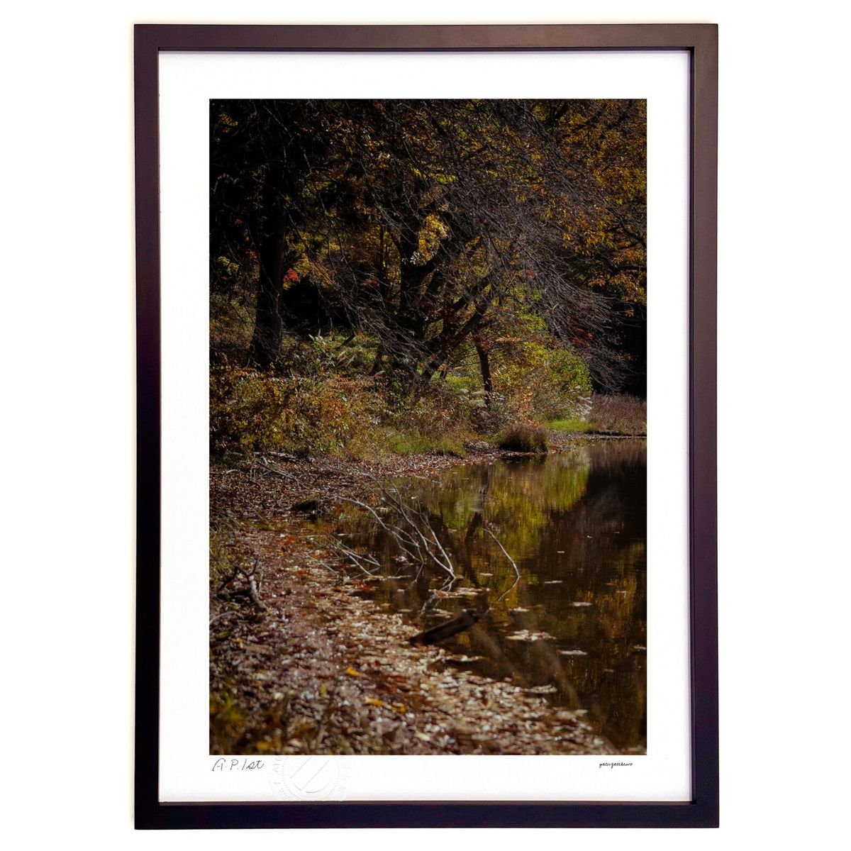 ڥѡSALEȾۡǲ Ӥˤ (ۤٵ)ƥꥢ ɳݤ  ʲ ݥ  ӥ ؤ˾  ץ쥼  ...