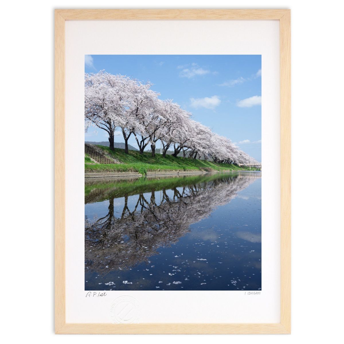 ڥѡSALEȾۡǲ  (I.ISHIGAMI)ƥꥢ ɳݤ  ʲ ݥ  ӥ ؤ˾  ץ쥼 ...