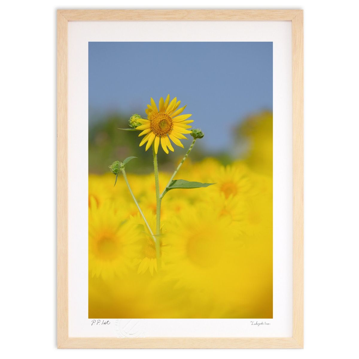 【スーパーSALE半額】版画 太陽に向かって (栄樹)インテリア 壁掛け 額入り 風景画 ポスター アート リビング 玄関に飾る 風水 プレゼント モダン アー...