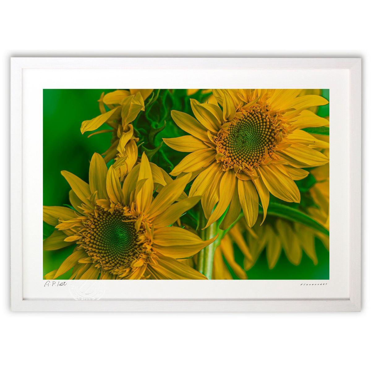 ڥѡSALEȾۡǲ ϶Ҥޤ (bluewoods07)ƥꥢ ɳݤ  ʲ ݥ  ӥ ؤ˾  ץ쥼...