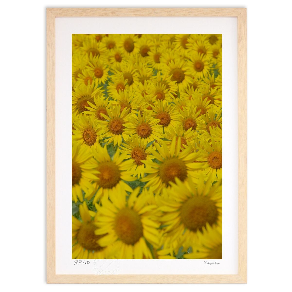 ڥѡSALEȾۡǲ ۤ˸ä (ɼ)ƥꥢ ɳݤ  ʲ ݥ  ӥ ؤ˾  ץ쥼  ...