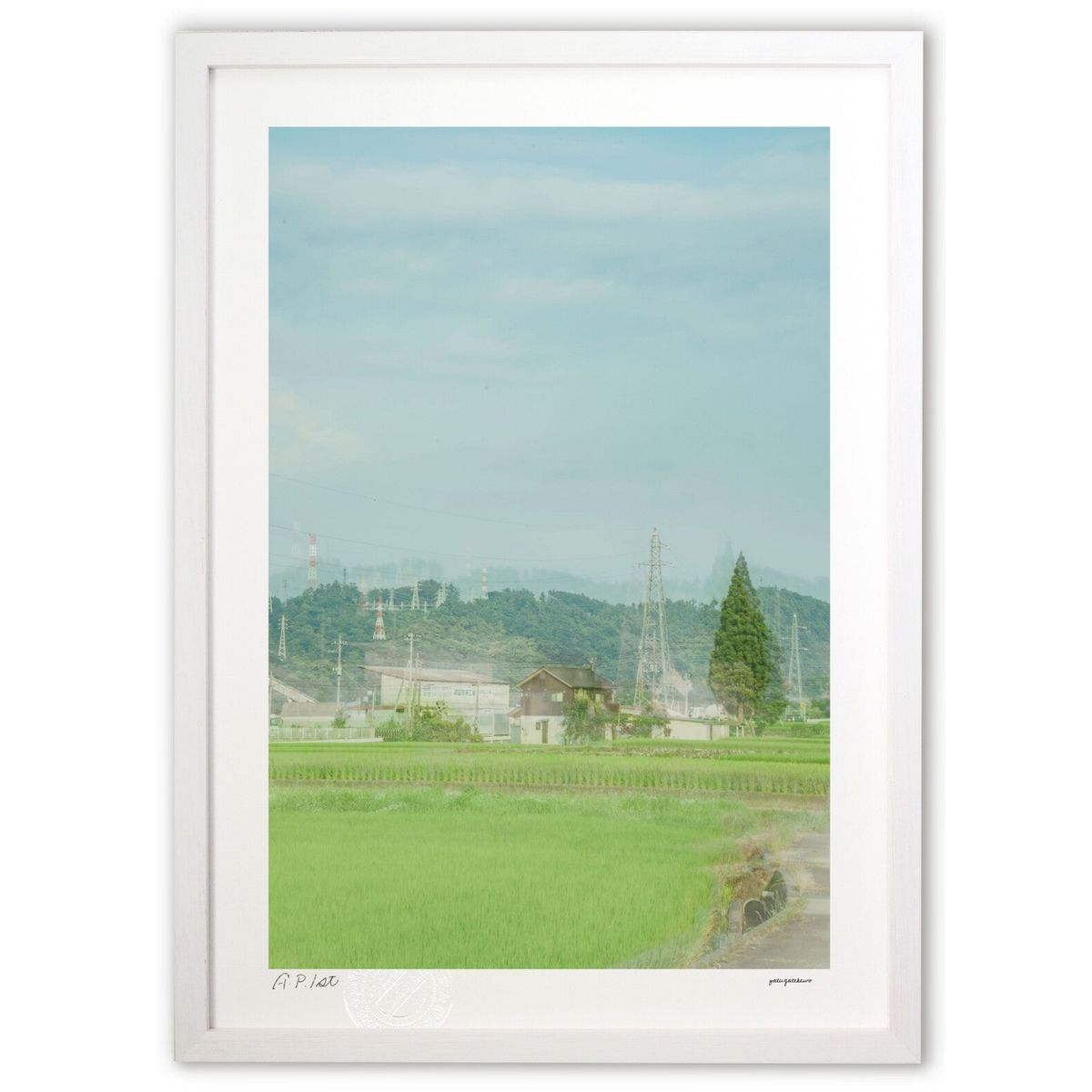 ڥѡSALEȾۡǲ Ƥı (ۤٵ)ƥꥢ ɳݤ  ʲ ݥ  ӥ ؤ˾  ץ쥼  ...