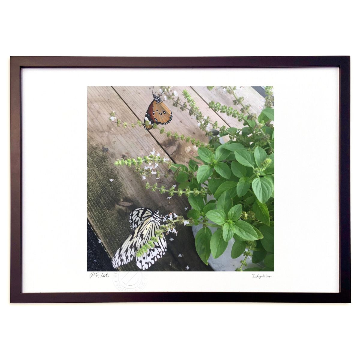 ڥѡSALEȾۡǲ ̿ĳȲ (ru_rose)ƥꥢ ɳݤ  ʲ ݥ  ӥ ؤ˾  ץ쥼 ...