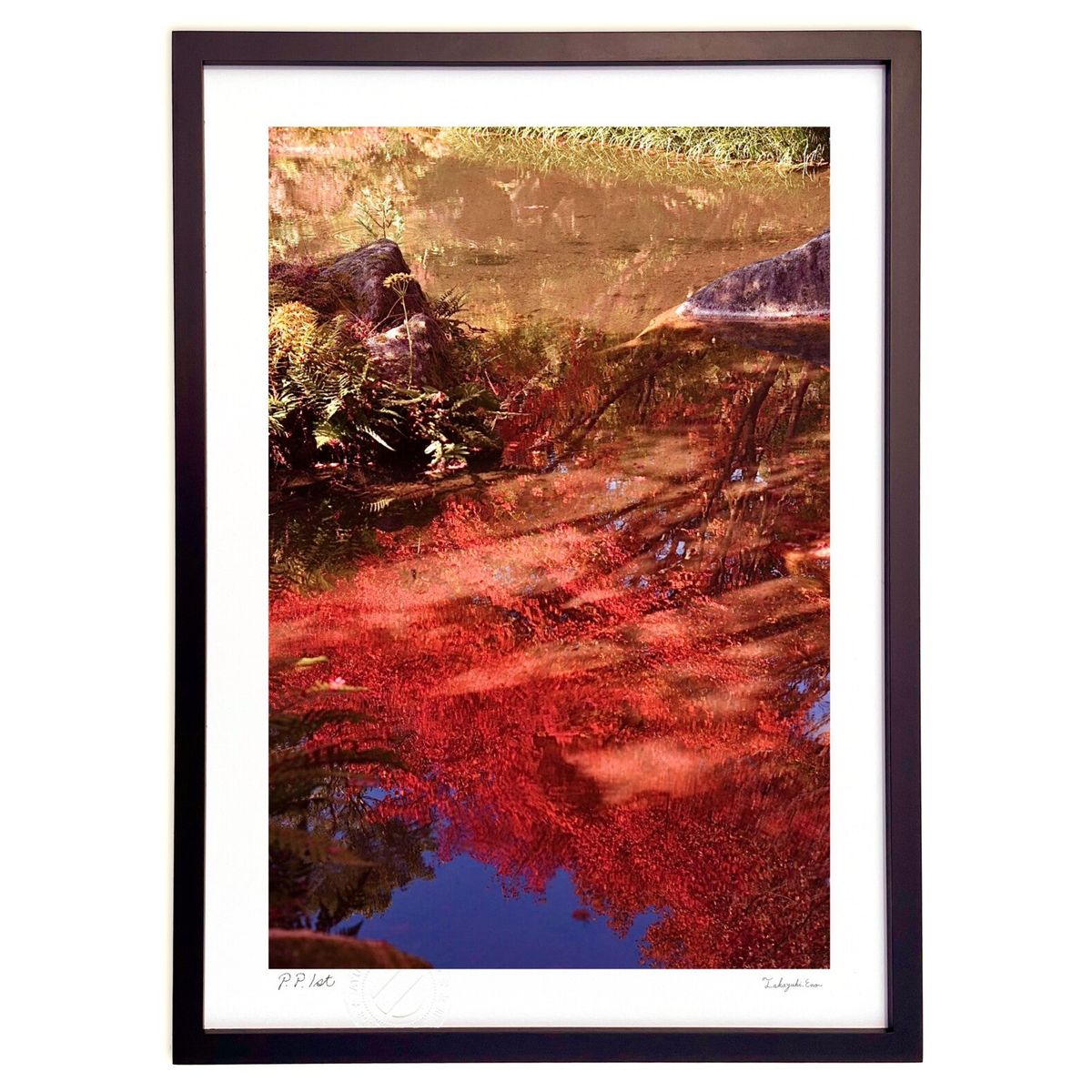 ڥѡSALEȾۡǲ ̤ν (mitan)ƥꥢ ɳݤ  ʲ ݥ  ӥ ؤ˾  ץ쥼  ...