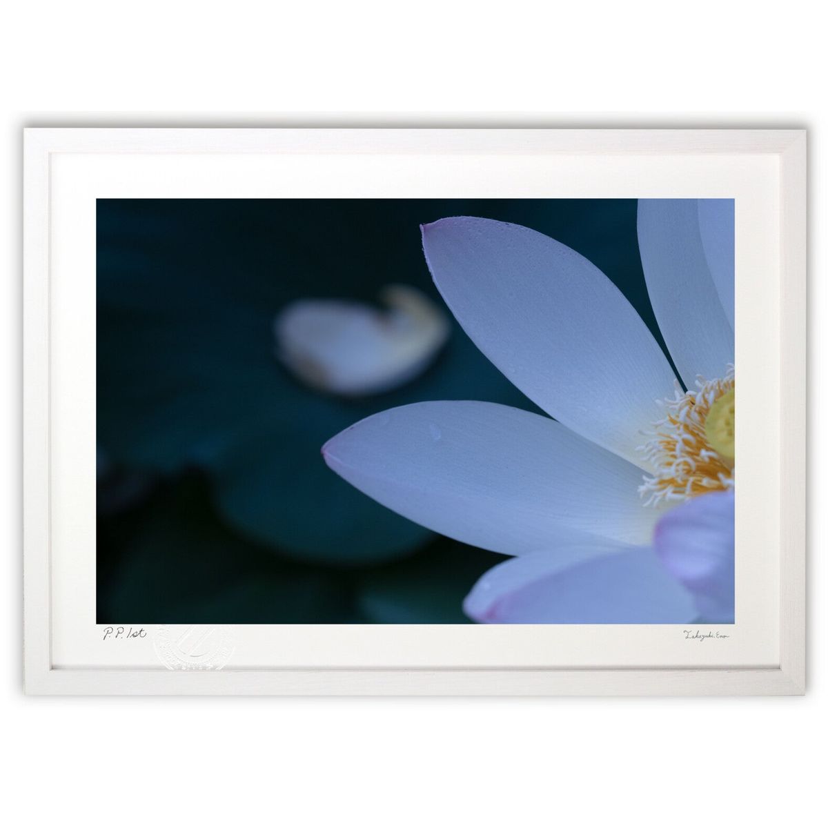 【スーパーSALE半額】版画 北見北限のハス (TAKAYA)インテリア 壁掛け 額入り 風景画 ポスター アート リビング 玄関に飾る 風水 プレゼント モダ...