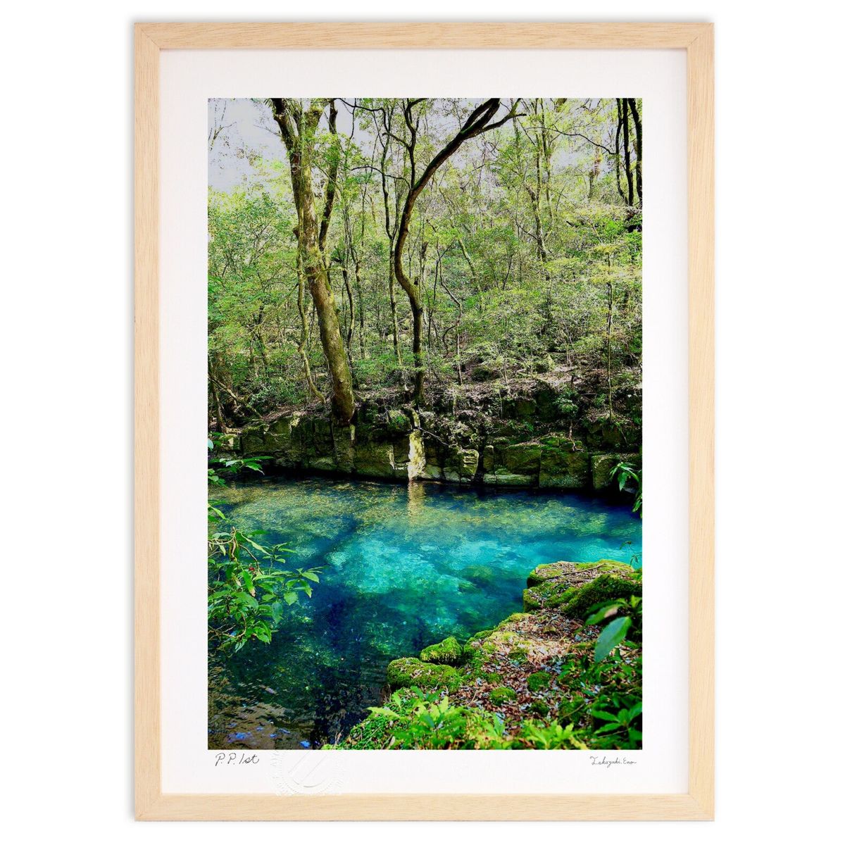 ڥѡSALEȾۡۡںȤκ۲䤫ʥ֥롼ή첺䤫ήή֥롼ޥ᤬&