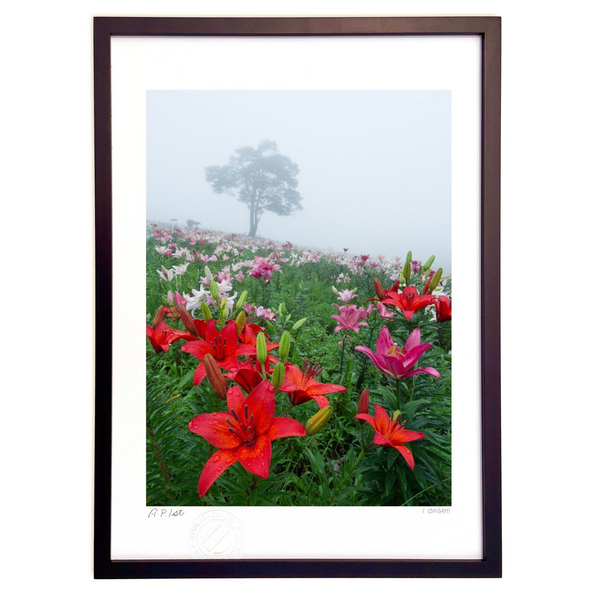 ڥѡSALEȾۡǲ ɴε (I.ISHIGAMI)ƥꥢ ɳݤ  ʲ ݥ  ӥ ؤ˾  ץ쥼 ...