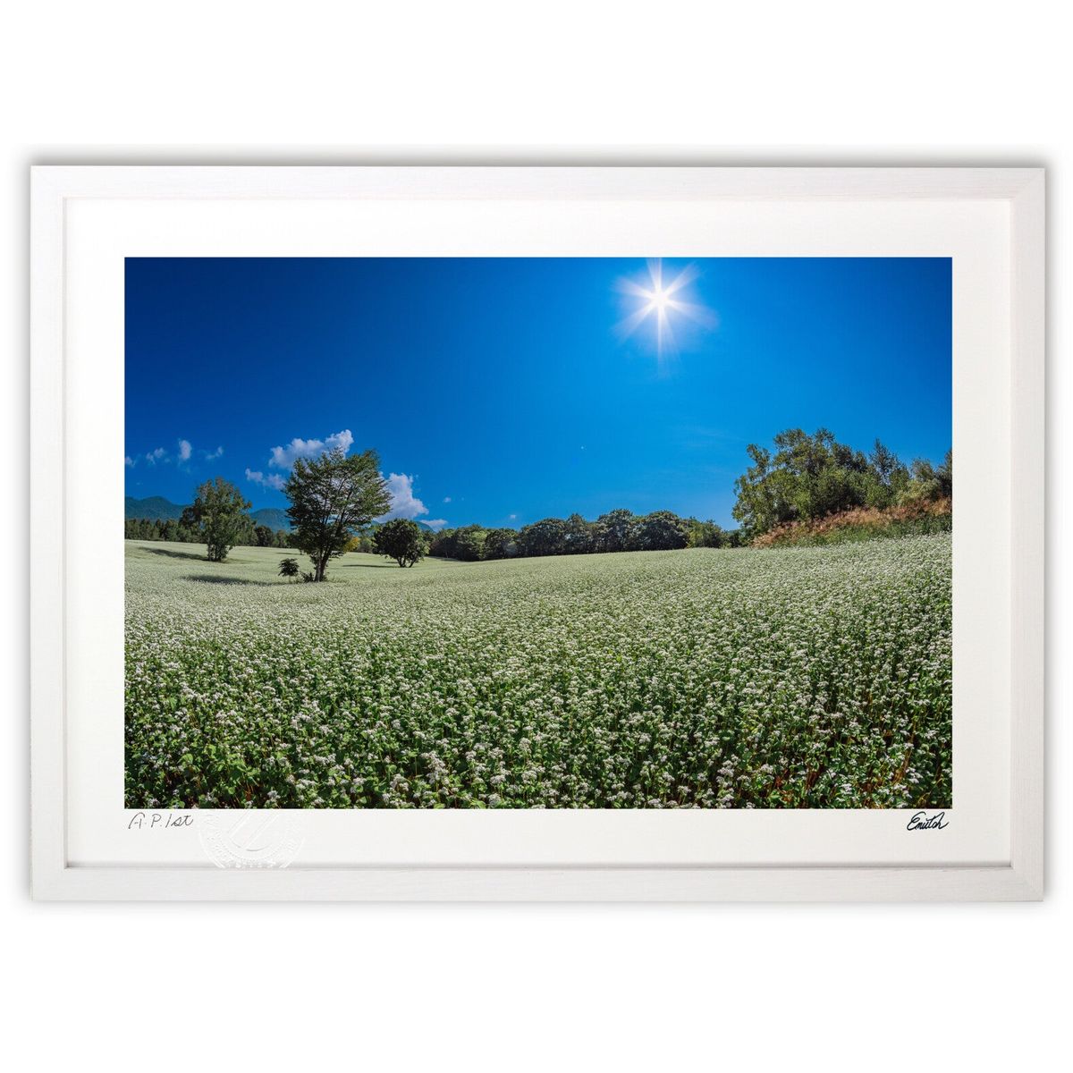 ڥѡSALEȾۡǲ ղƤι⸶ (eishowmutoh)ƥꥢ ɳݤ  ʲ ݥ  ӥ ؤ˾  ץ쥼...