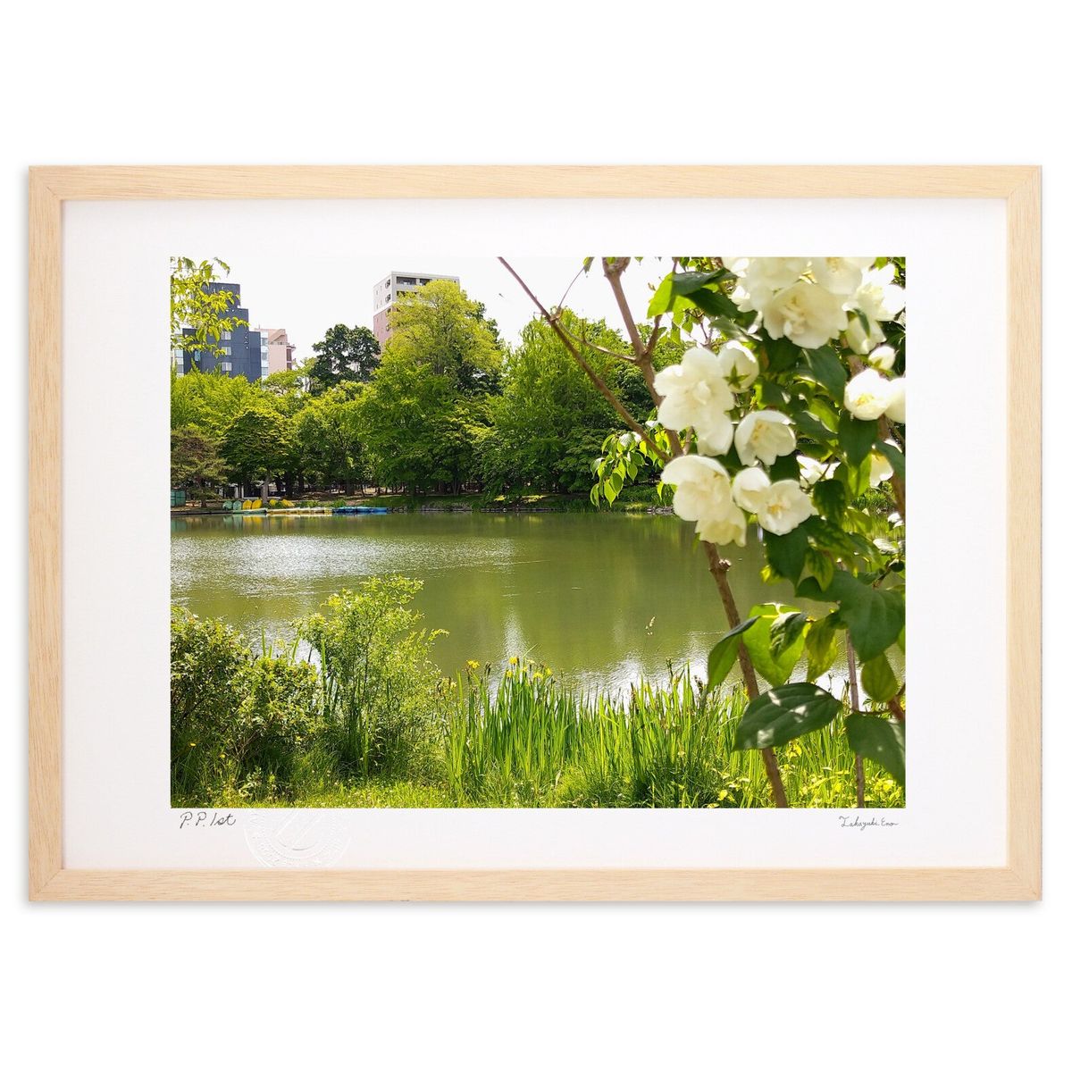 ڥѡSALEȾۡǲ Ф (ΡХ˥)ƥꥢ ɳݤ  ʲ ݥ  ӥ ؤ˾  ץ쥼  ...