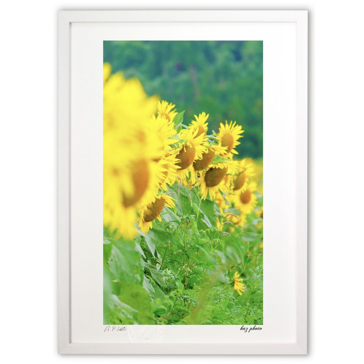 【スーパーSALE半額】版画 ひまわり (kaz photo)インテリア 壁掛け 額入り 風景画 ポスター アート リビング 玄関に飾る 風水 プレゼント モダ...