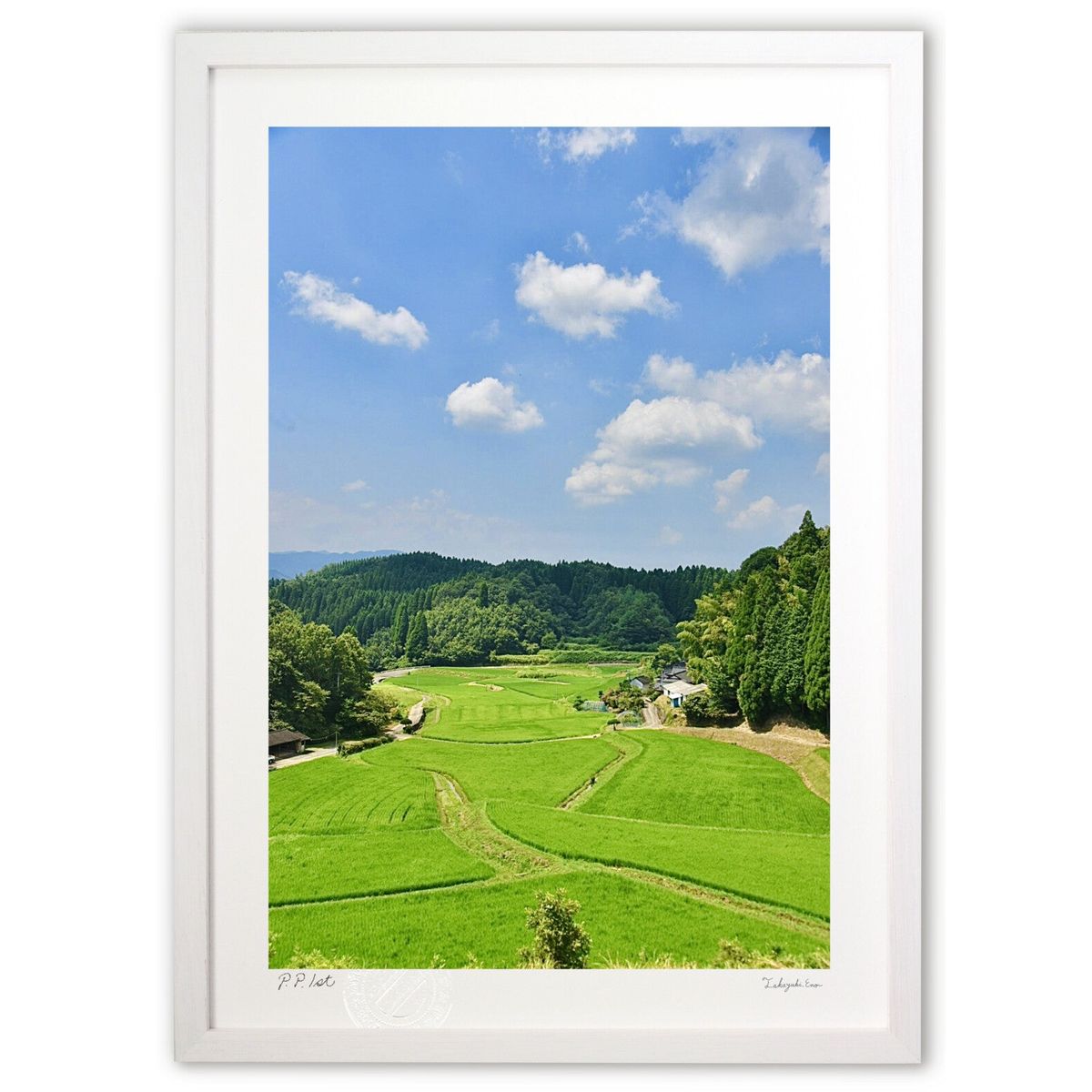 ڥѡSALEȾۡǲ Ƥı (mitan)ƥꥢ ɳݤ  ʲ ݥ  ӥ ؤ˾  ץ쥼 ...