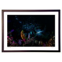 【スーパーSALE半額】版画 魚礁の貴婦人 (Little Dinosaur)