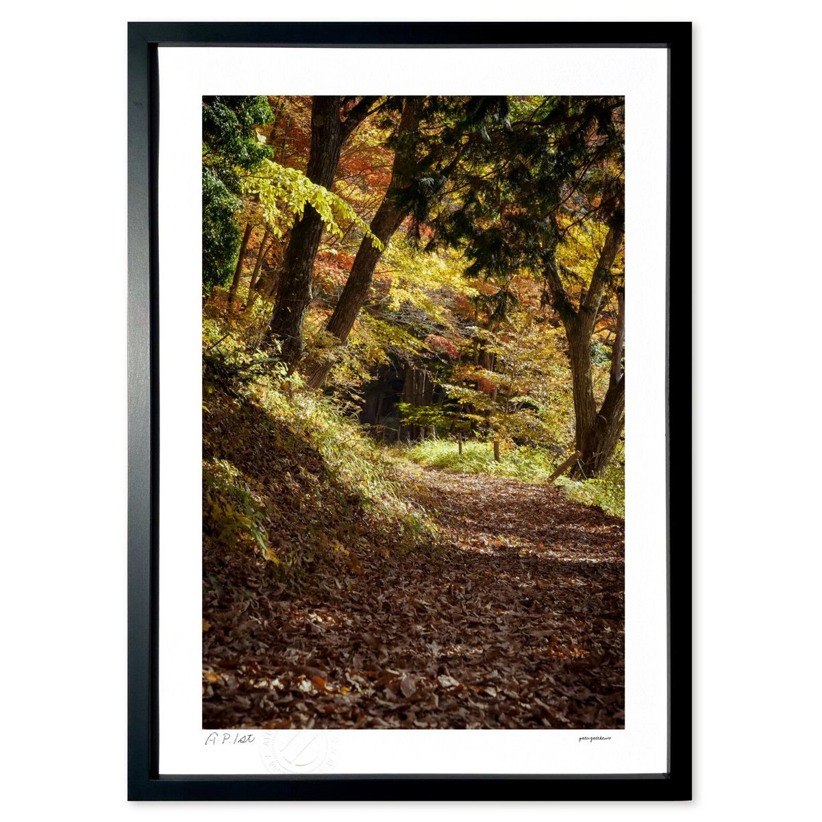 ڥѡSALEȾۡǲ ϳΤƻ (ۤٵ)ƥꥢ ɳݤ  ʲ ݥ  ӥ ؤ˾  ץ쥼 ...