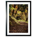 【スーパーSALE半額】版画 木漏れ日のそそぐ林道 (奴が岳魚)インテリア 壁掛け 額入り 風景画 ポスター アート リビング 玄関に飾る 風水 プレゼント ...