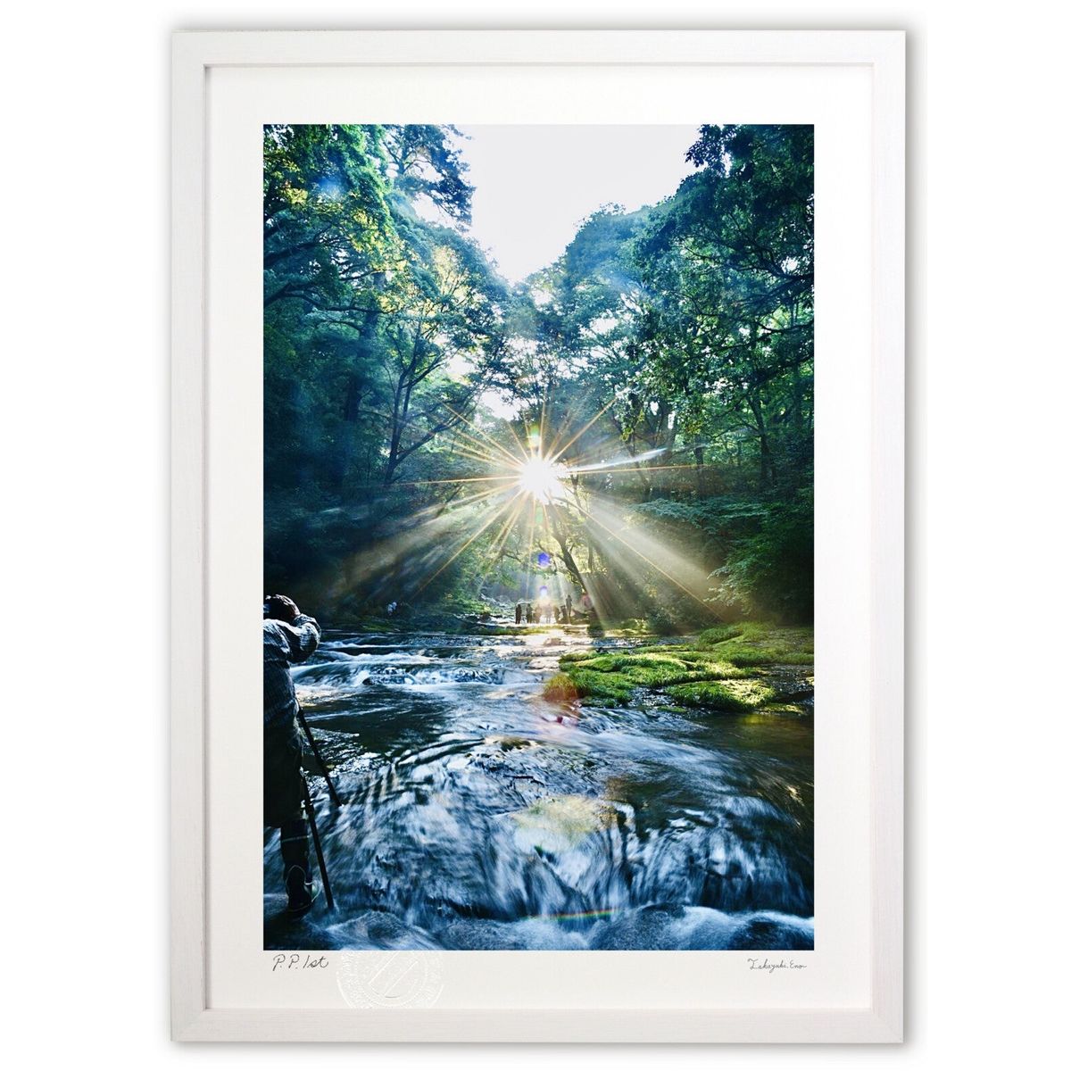 ڥѡSALEȾۡǲ ᤭ (mitan)ƥꥢ ɳݤ  ʲ ݥ  ӥ ؤ˾  ץ쥼  ...