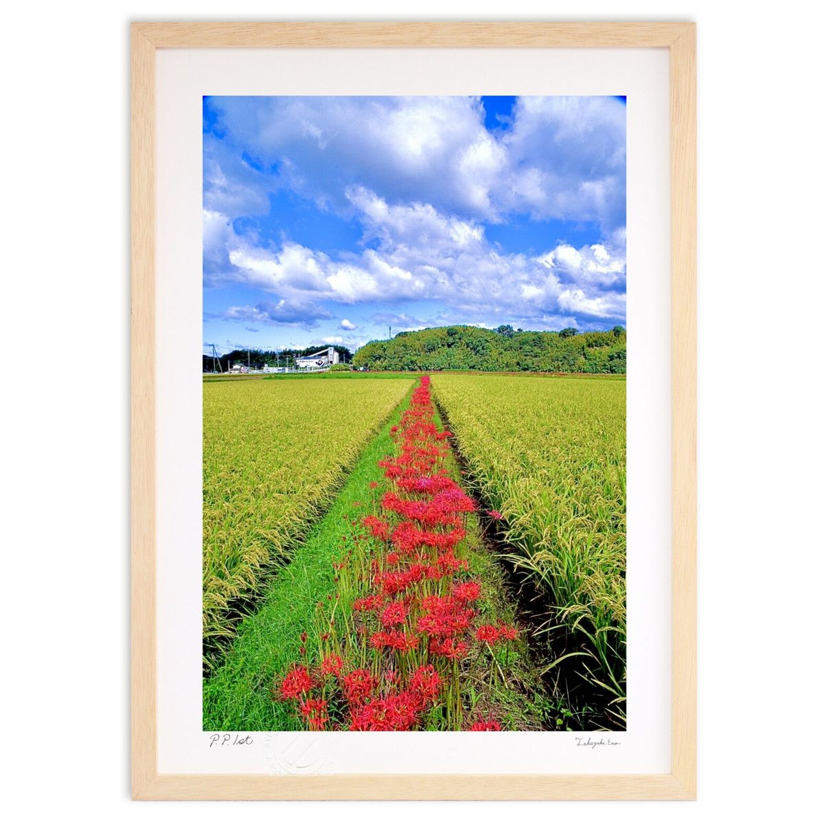 ڥѡSALEȾۡǲ ĤܤӤ߲ (mitan)ƥꥢ ɳݤ  ʲ ݥ  ӥ ؤ˾  ץ쥼 ...