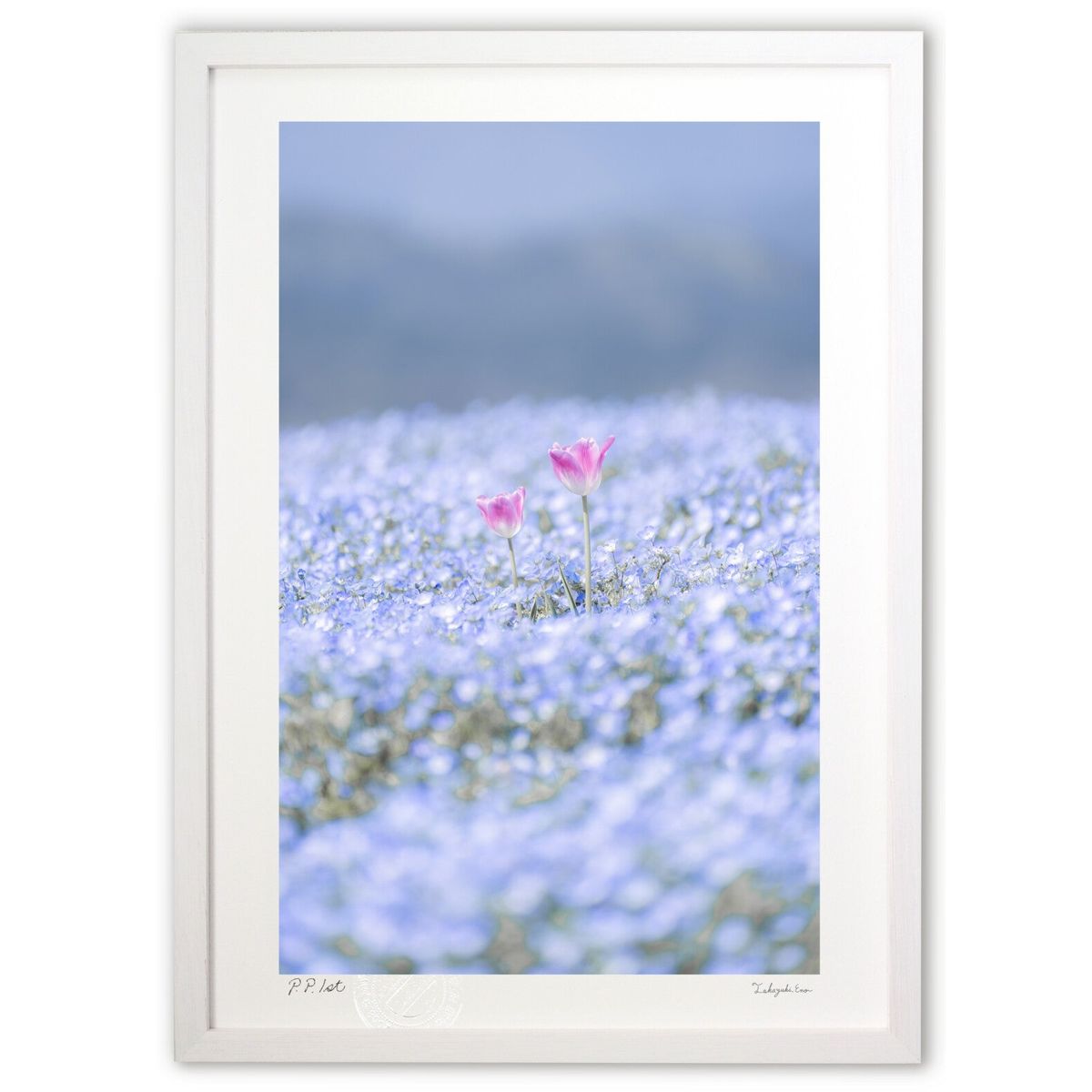 ڥѡSALEȾۡǲ ͥեȥ塼å ( )ƥꥢ ɳݤ  ʲ ݥ  ӥ ؤ˾  ץ쥼...