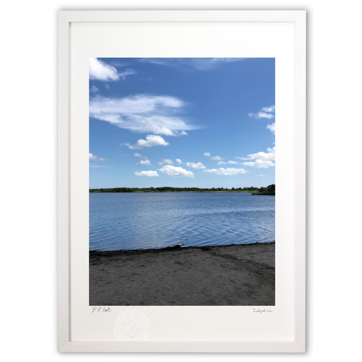 ڥѡSALEȾۡǲ 򸫾夲 ()ƥꥢ ɳݤ  ʲ ݥ  ӥ ؤ˾  ץ쥼  ...