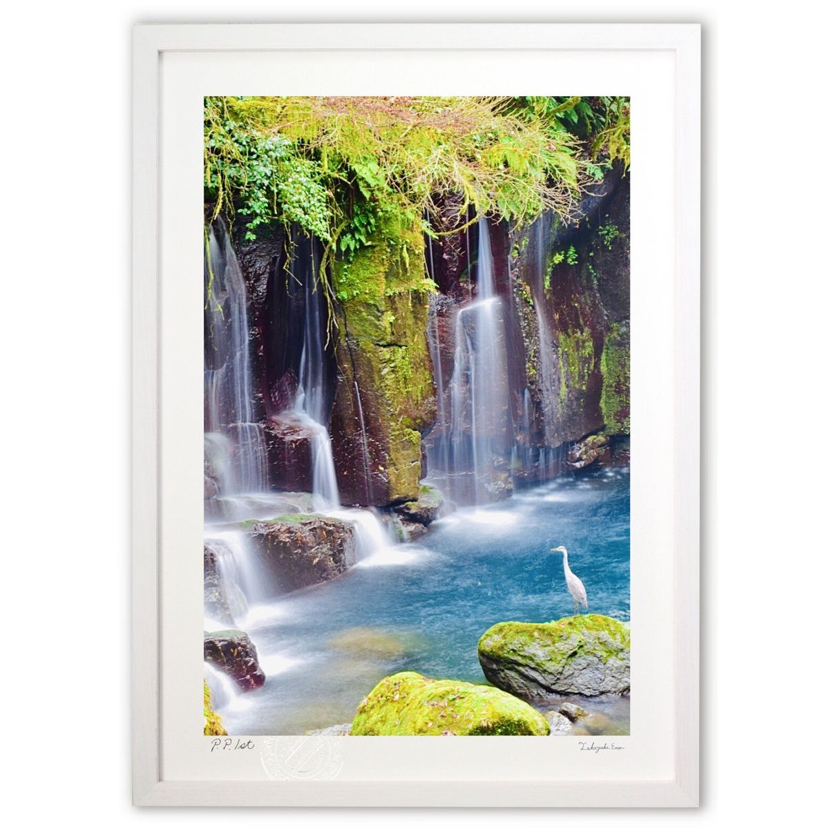 ڥѡSALEȾۡǲ ä (mitan)ƥꥢ ɳݤ  ʲ ݥ  ӥ ؤ˾  ץ쥼  ...