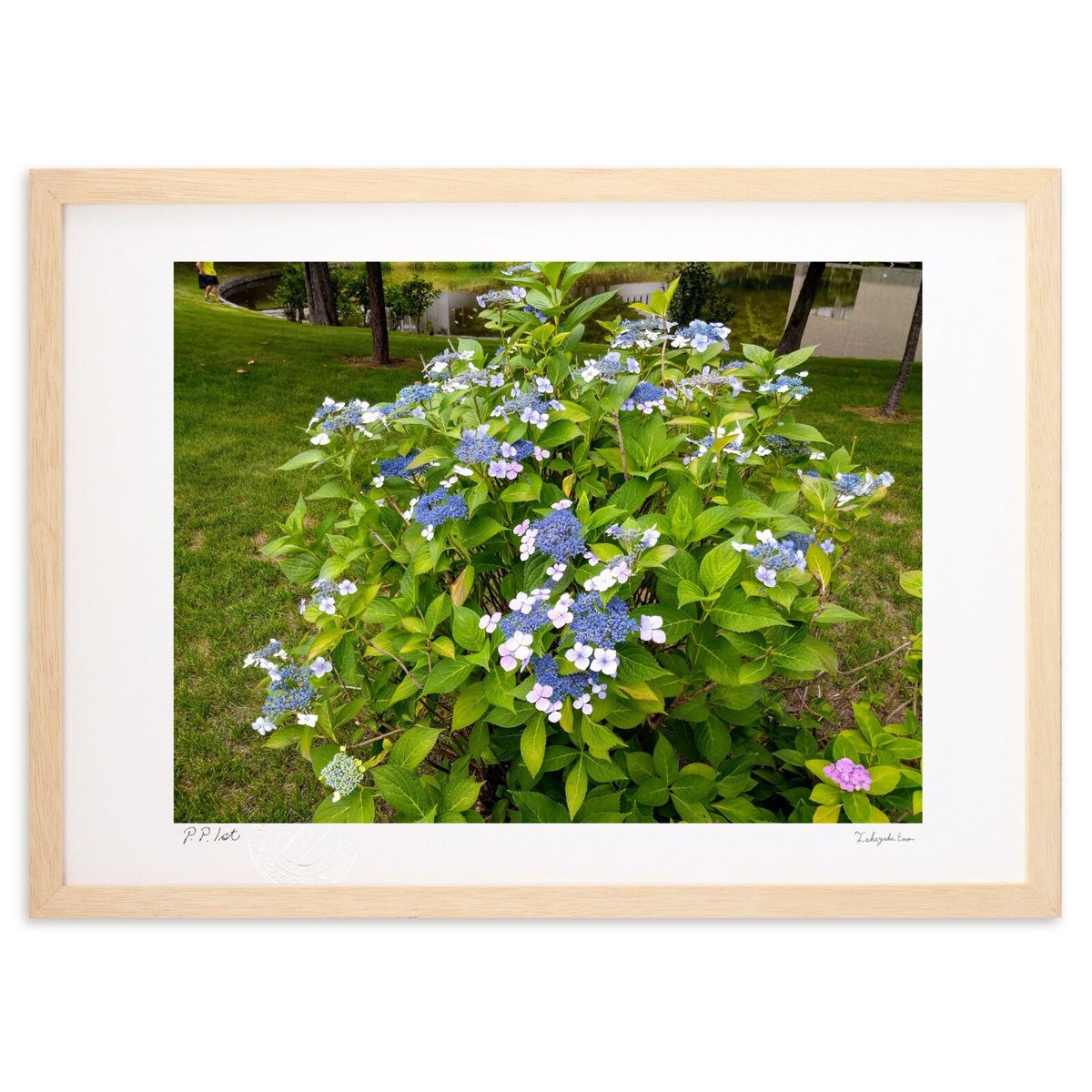 ڥѡSALEȾۡǲ ۻ۲ (ΡХ˥)ƥꥢ ɳݤ  ʲ ݥ  ӥ ؤ˾  ץ쥼  ...