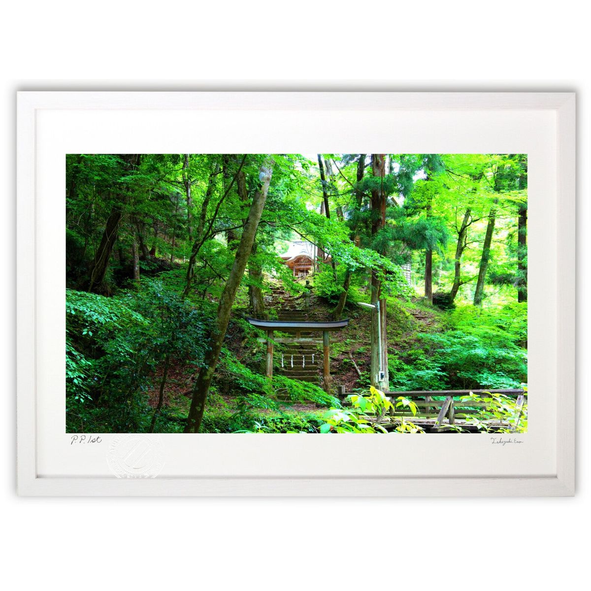 ڥѡSALEȾۡǲ ٤ޤФޤ졡 ()ƥꥢ ɳݤ  ʲ ݥ  ӥ ؤ˾  ץ쥼...