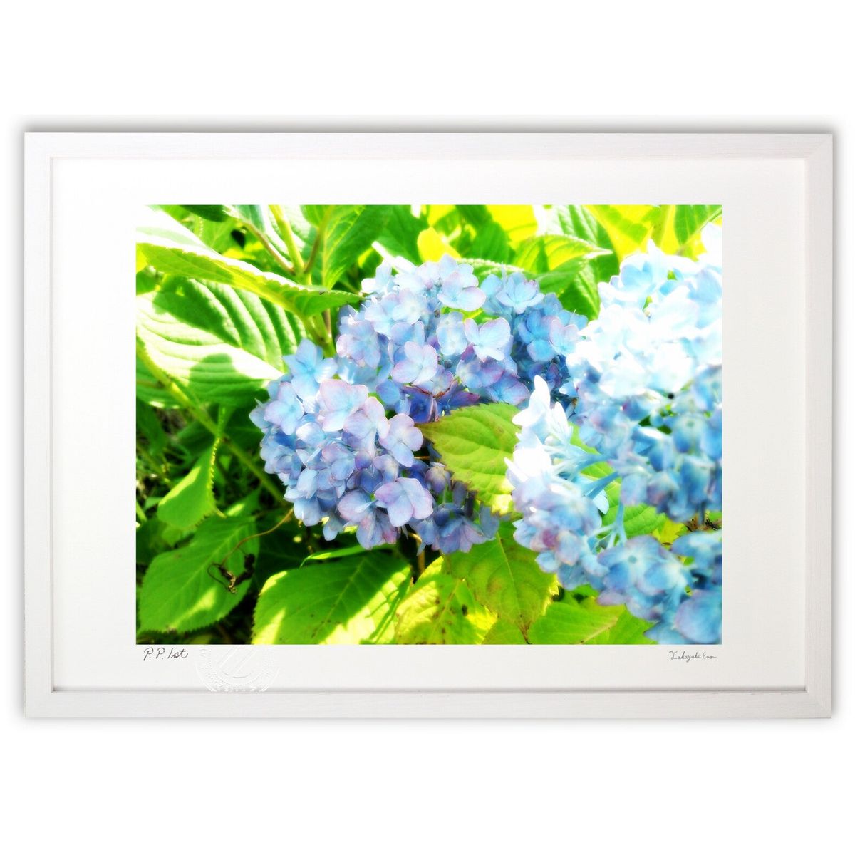 ڥѡSALEȾۡǲ ƤΥ (ꤸ )ƥꥢ ɳݤ  ʲ ݥ  ӥ ؤ˾  ץ쥼 ...