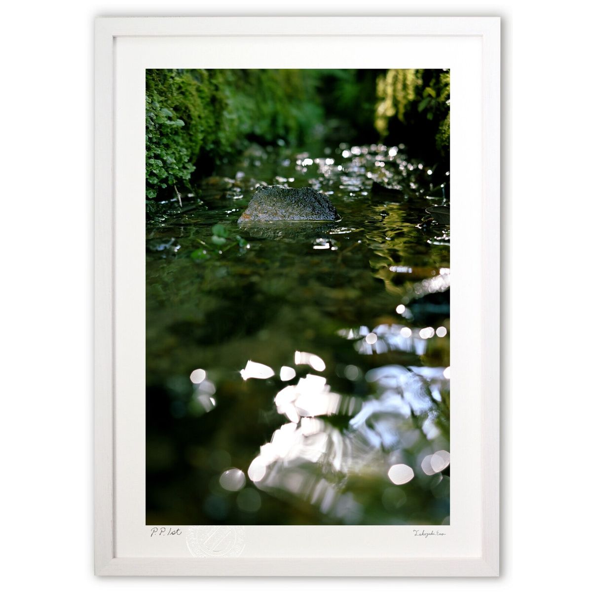 ڥѡSALEȾۡǲ ʤޤ (yutaka_tain_aka)ƥꥢ ɳݤ  ʲ ݥ  ӥ ؤ˾  ץ쥼...