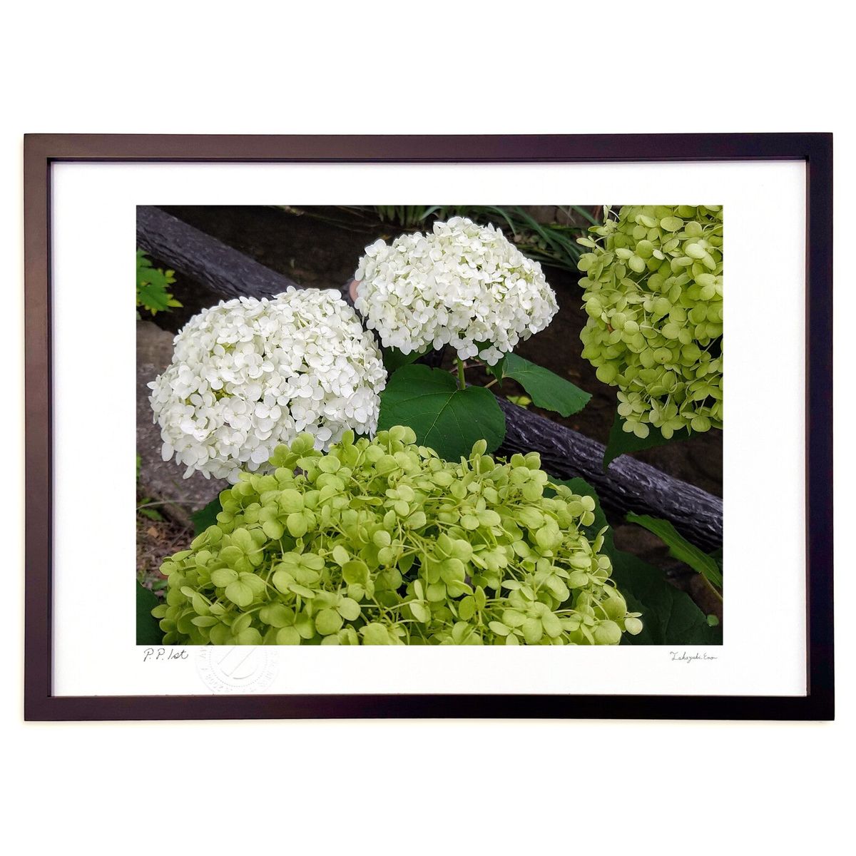 【スーパーSALE半額】版画 アナベル (スノーバニラ)インテリア 壁掛け 額入り 風景画 ポスター アート リビング 玄関に飾る 風水 プレゼント モダン ア...