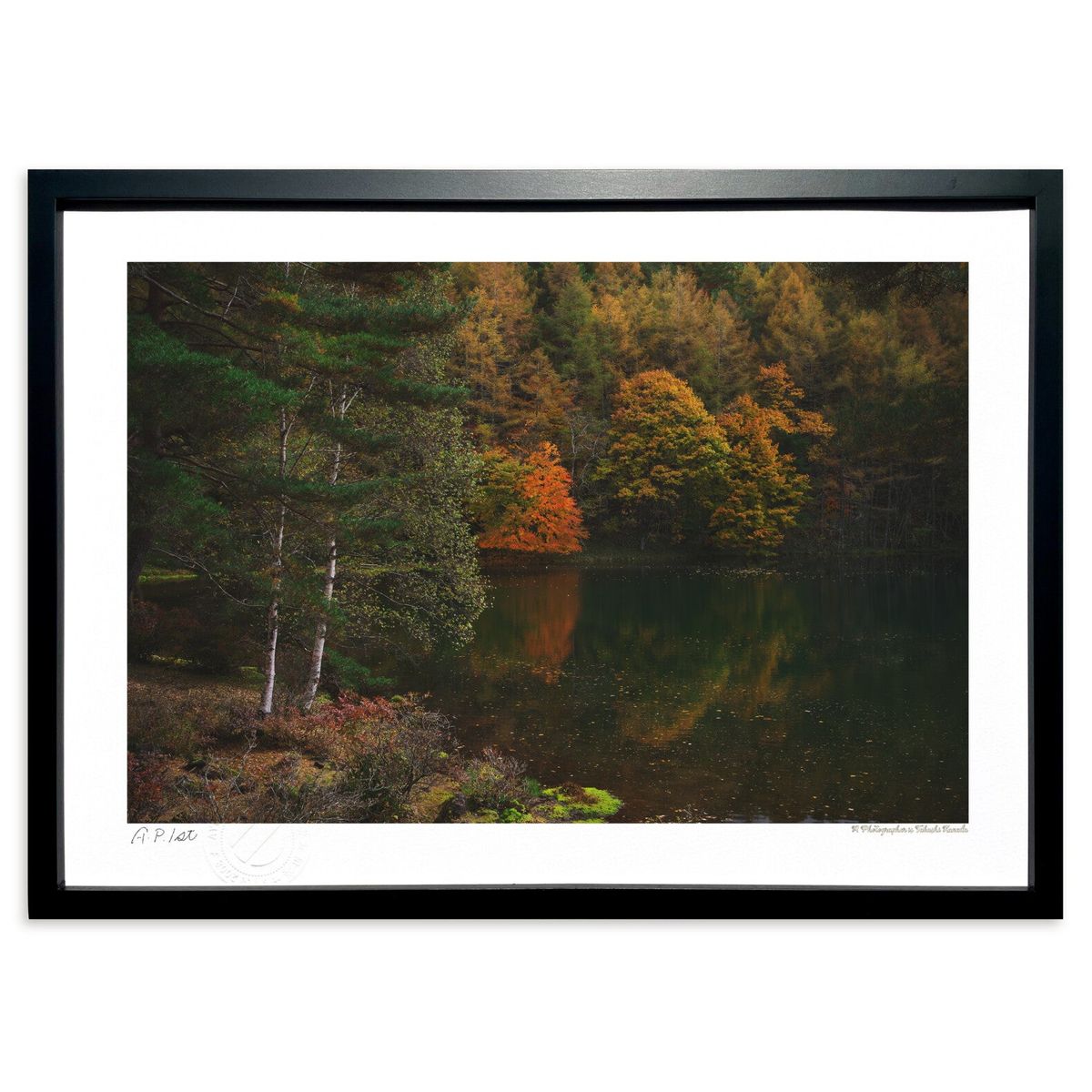 ڥѡSALEȾۡǲ ޤͼ (ramble)ƥꥢ ɳݤ  ʲ ݥ  ӥ ؤ˾  ץ쥼 ...