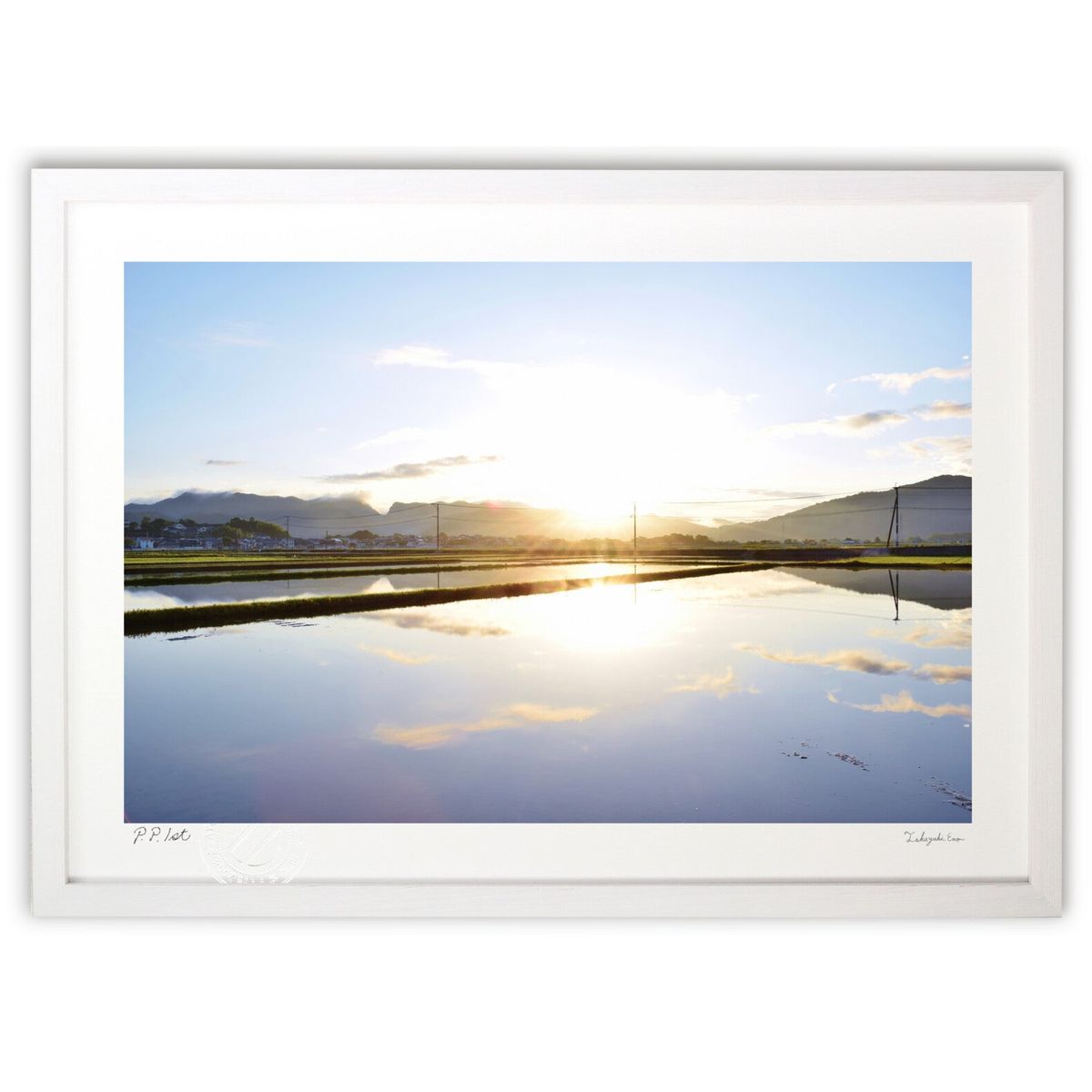 ڥѡSALEȾۡǲ ο (ǡ)ƥꥢ ɳݤ  ʲ ݥ  ӥ ؤ˾  ץ쥼  ȥ...