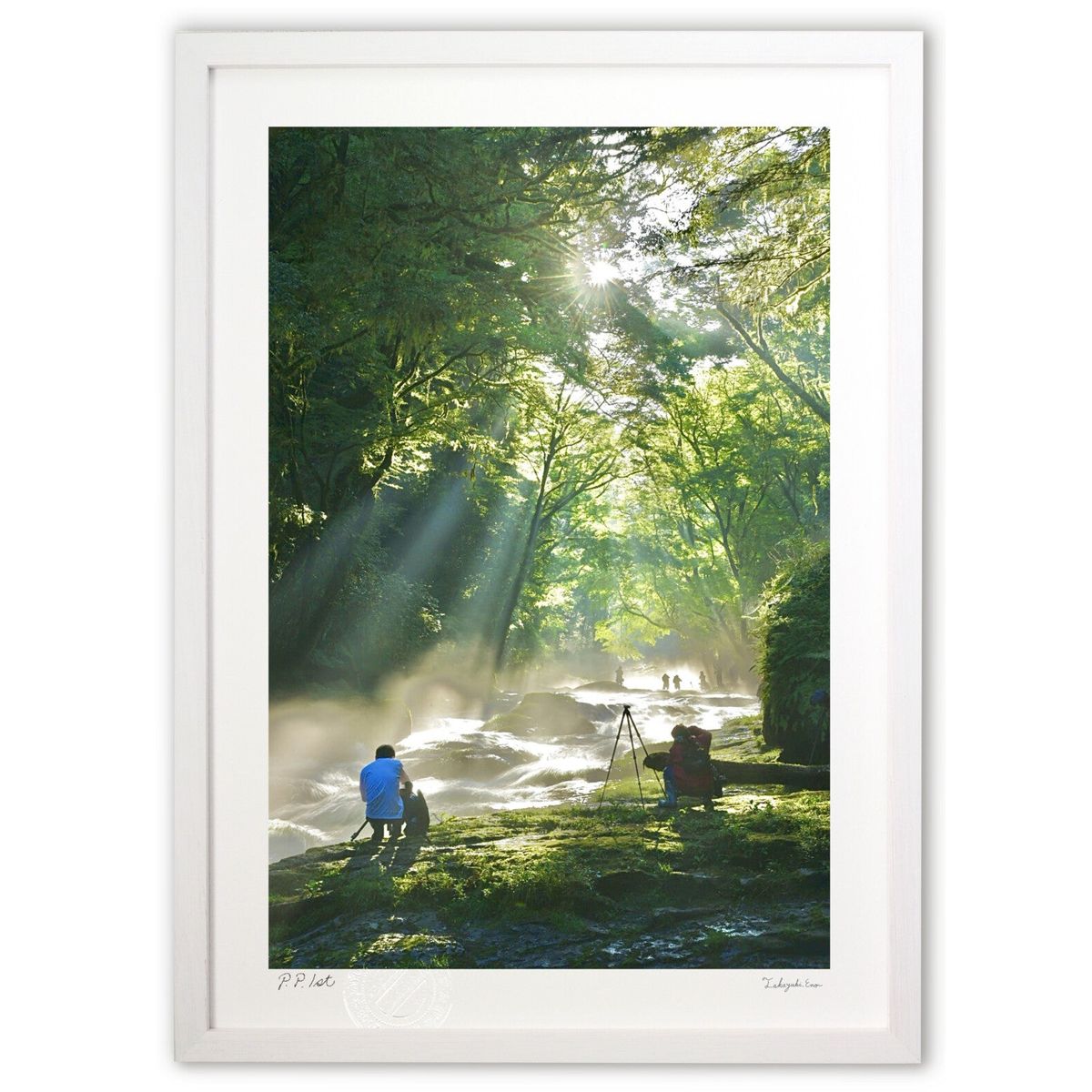 ڥѡSALEȾۡǲ Υʥѡ (mitan)ƥꥢ ɳݤ  ʲ ݥ  ӥ ؤ˾  ץ쥼 ...