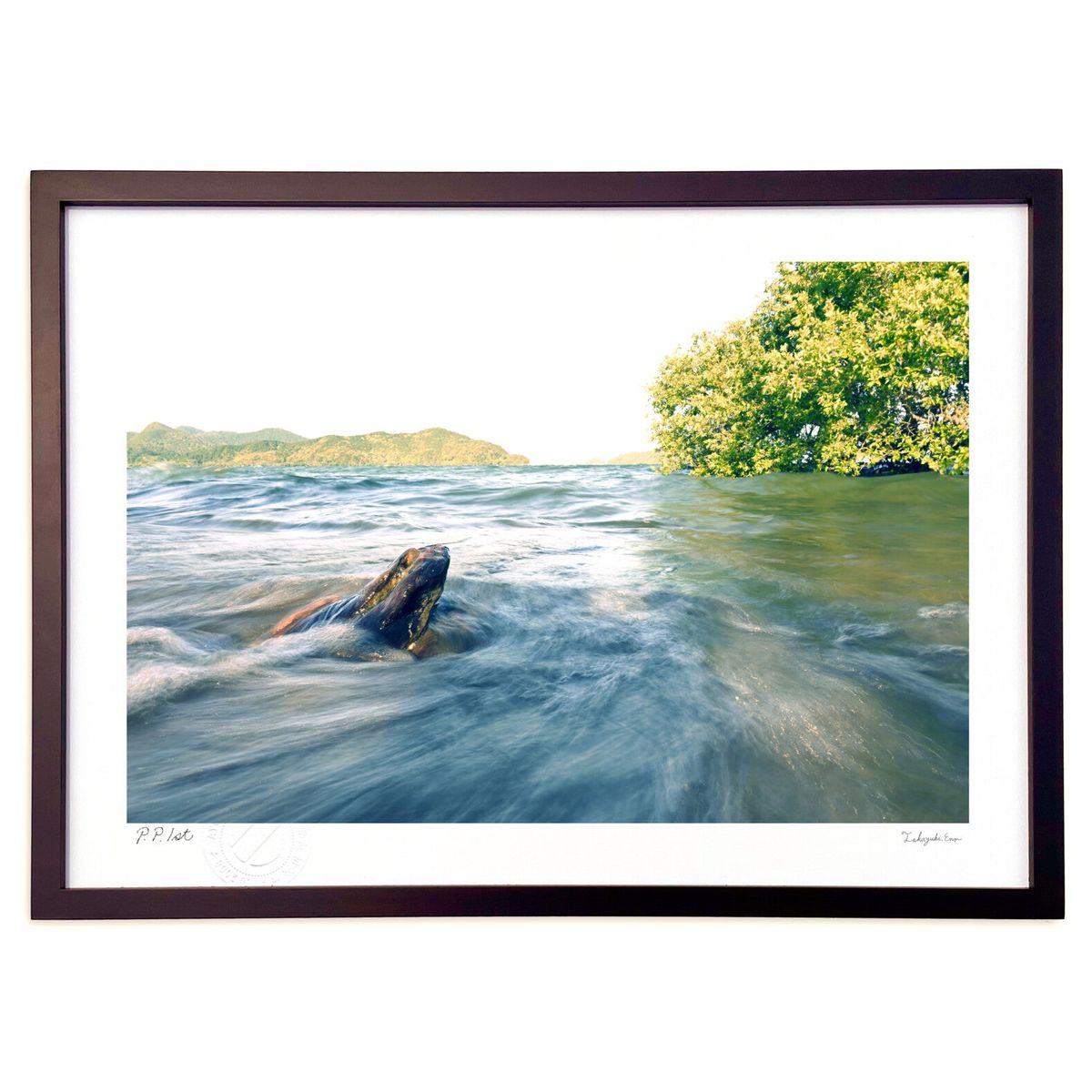 ڥѡSALEȾۡǲ ή (yutaka_tain_aka)ƥꥢ ɳݤ  ʲ ݥ  ӥ ؤ˾  ץ쥼...