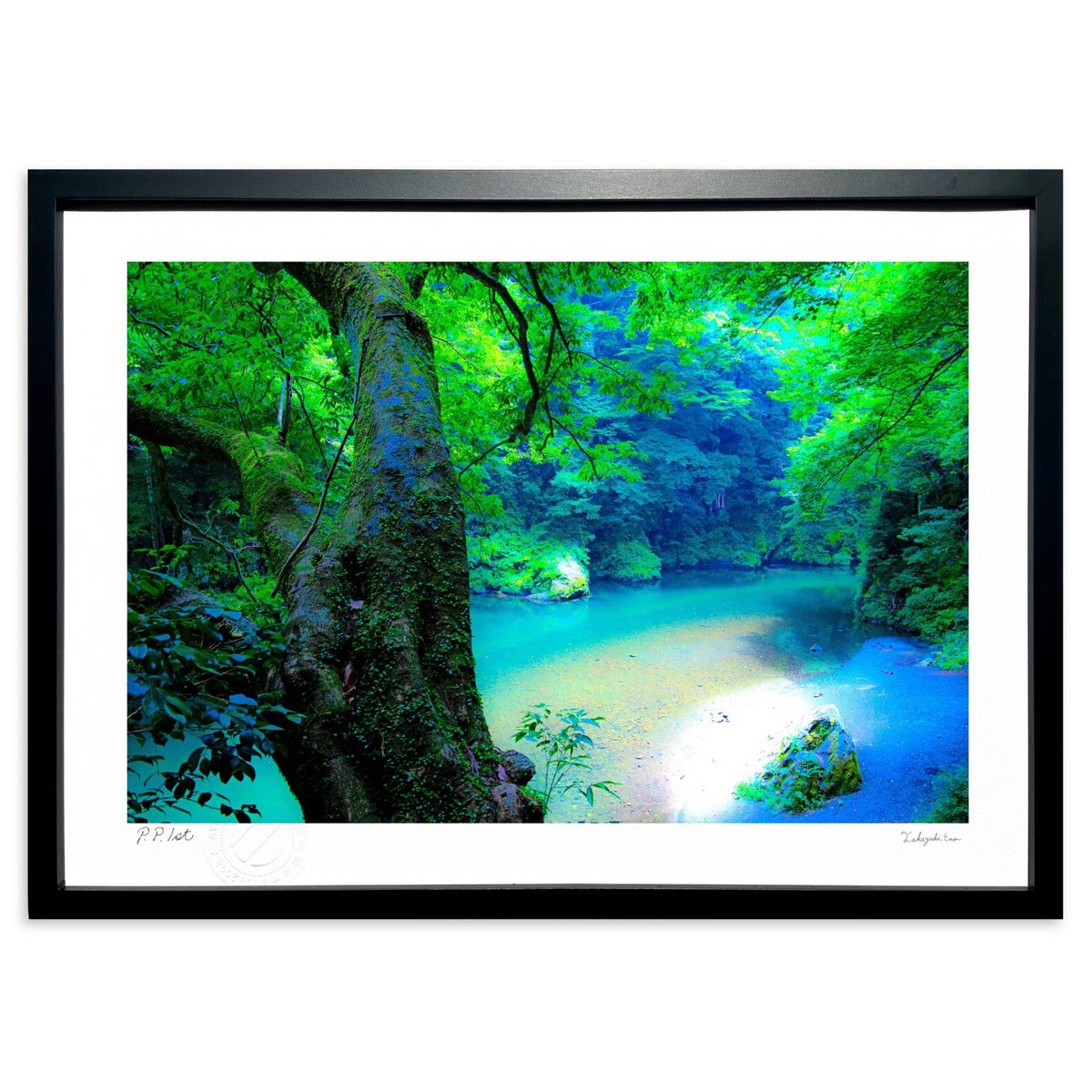 ڥѡSALEȾۡǲ ս ()ƥꥢ ɳݤ  ʲ ݥ  ӥ ؤ˾  ץ쥼  ȥե...