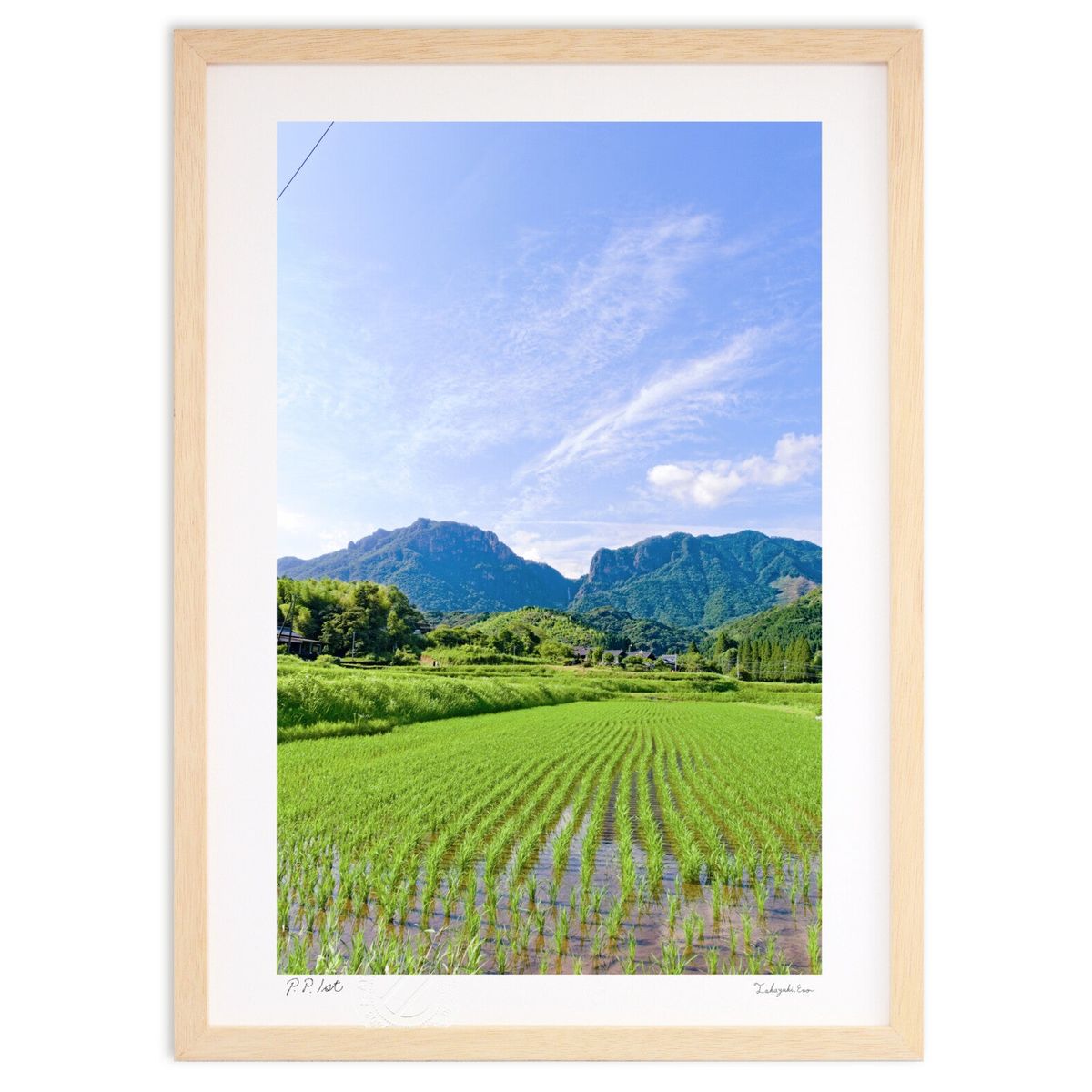 ڥѡSALEȾۡǲ Ƥι (ǡ)ƥꥢ ɳݤ  ʲ ݥ  ӥ ؤ˾  ץ쥼  ȥ...