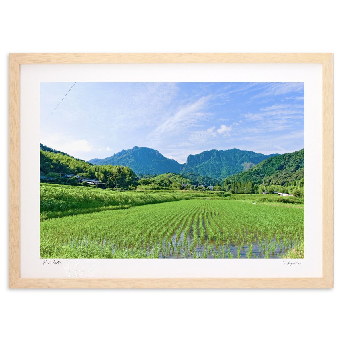 ڥѡSALEȾۡǲ Ƥι (ǡ)ƥꥢ ɳݤ  ʲ ݥ  ӥ ؤ˾  ץ쥼  ȥ...