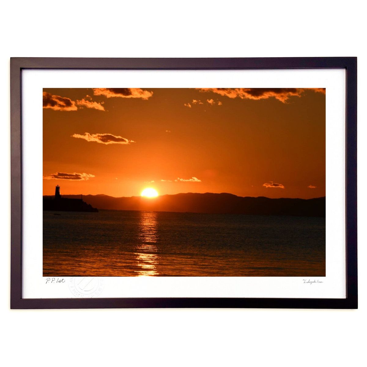 ڥѡSALEȾۡǲ ͼ (White Conconki)ƥꥢ ɳݤ  ʲ ݥ  ӥ ؤ˾  ץ쥼...