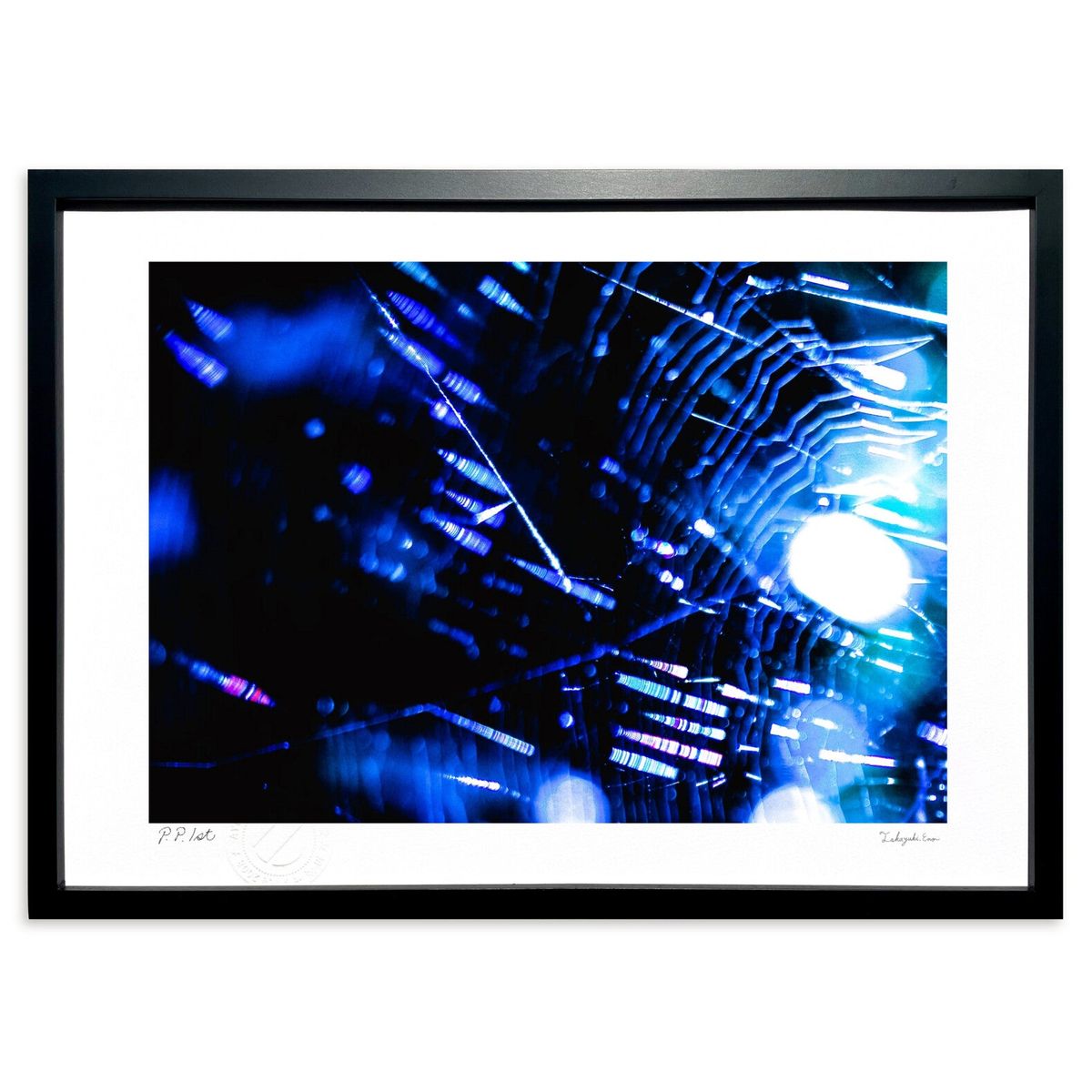 ڥѡSALEȾۡǲ 糰ο̡λ ()ƥꥢ ɳݤ  ʲ ݥ  ӥ ؤ˾  ץ쥼 ...