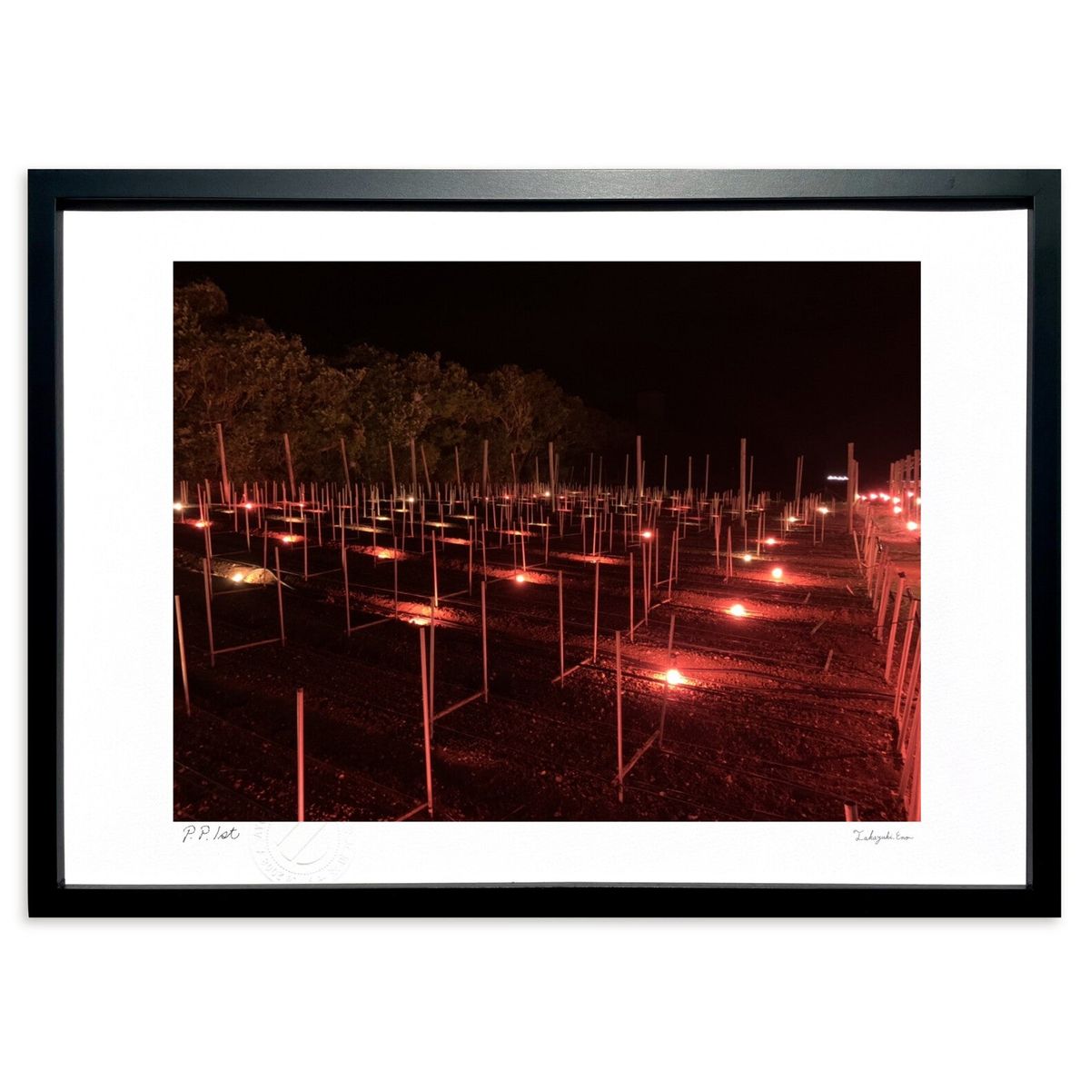 ڥѡSALEȾۡǲ Ǯμ (ޤ֤ 礦)ƥꥢ ɳݤ  ʲ ݥ  ӥ ؤ˾  ץ쥼 ...